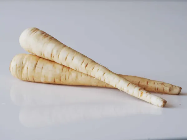 a photo of two whole raw parsnips ready to be cooked on a white background