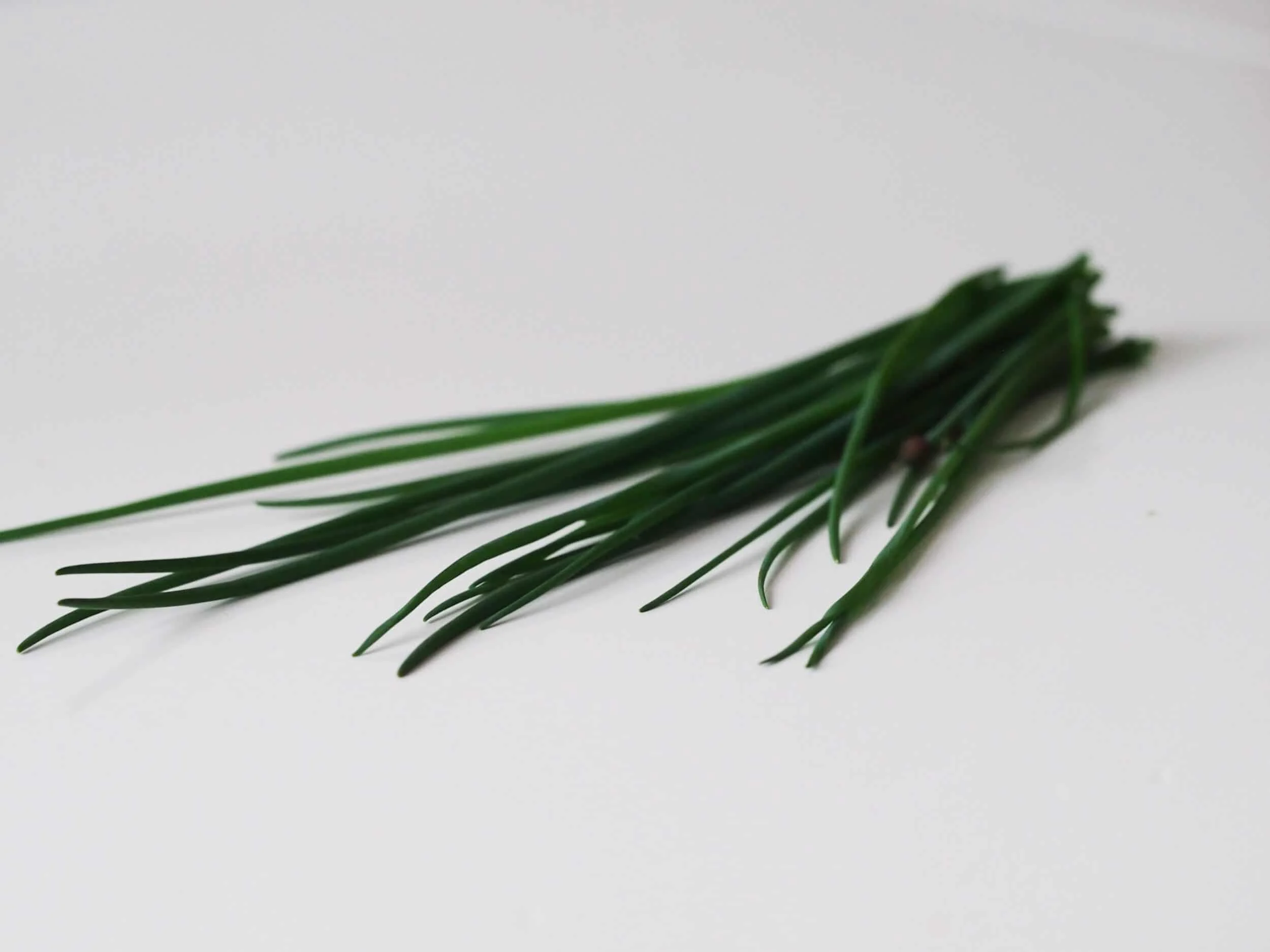 a bunch of chive stalks before being prepared for babies starting solids