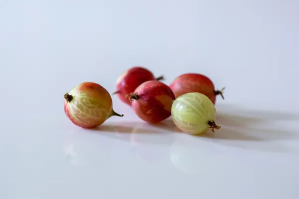 five green and red gooseberries on a white background