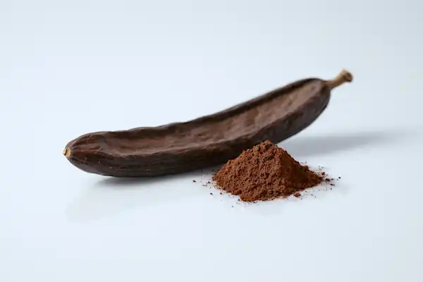 When can babies have carob a photograph of a whole carob pod next to a small pile of powdered carob