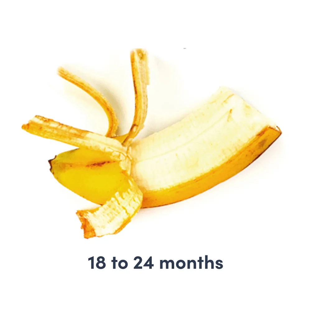 a photograph of a banana partially peeled with text above it that reads 18 to 24 months 