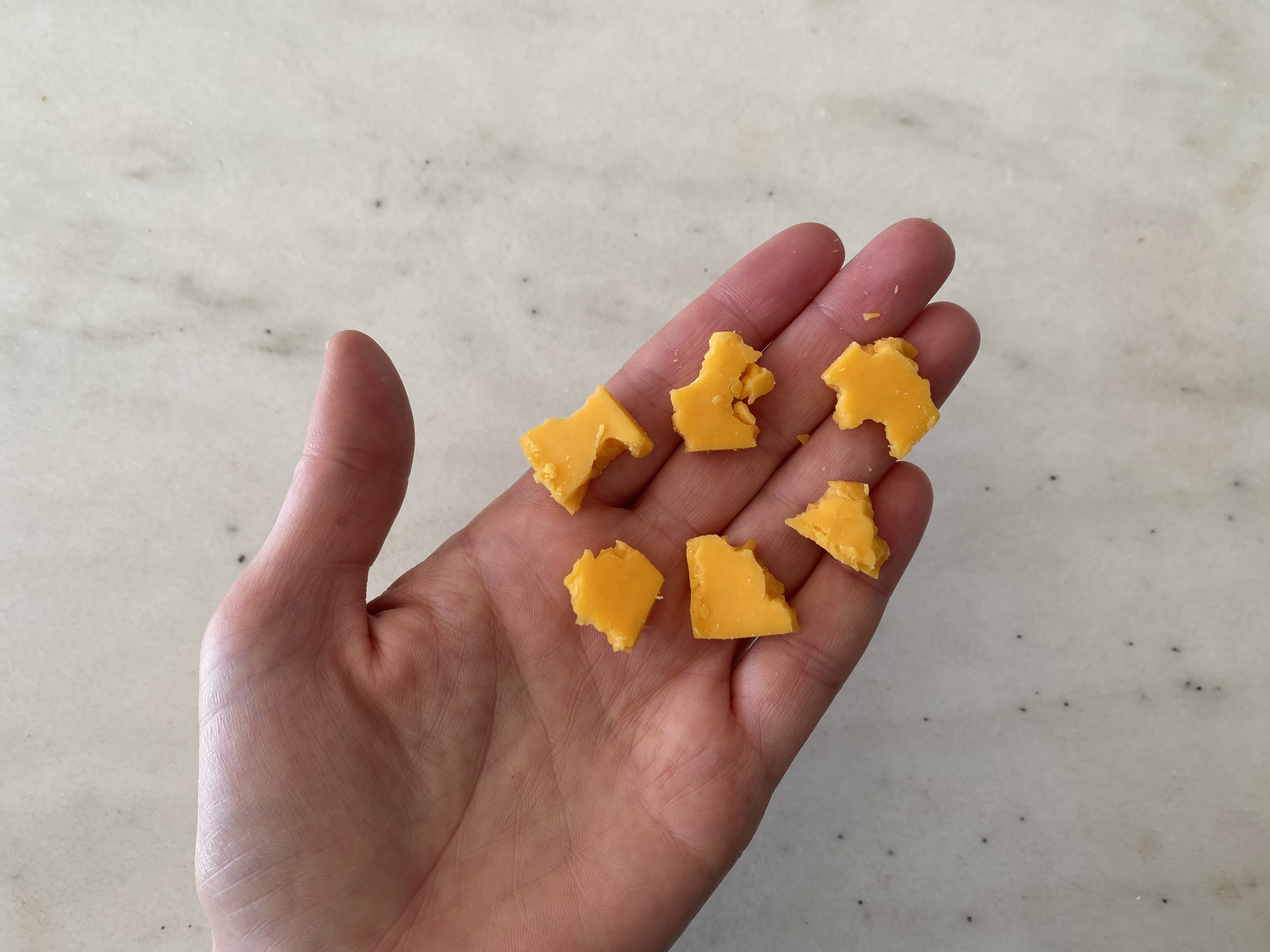 a hand holding six bite-sized pieces cut from a thin slice of cheddar