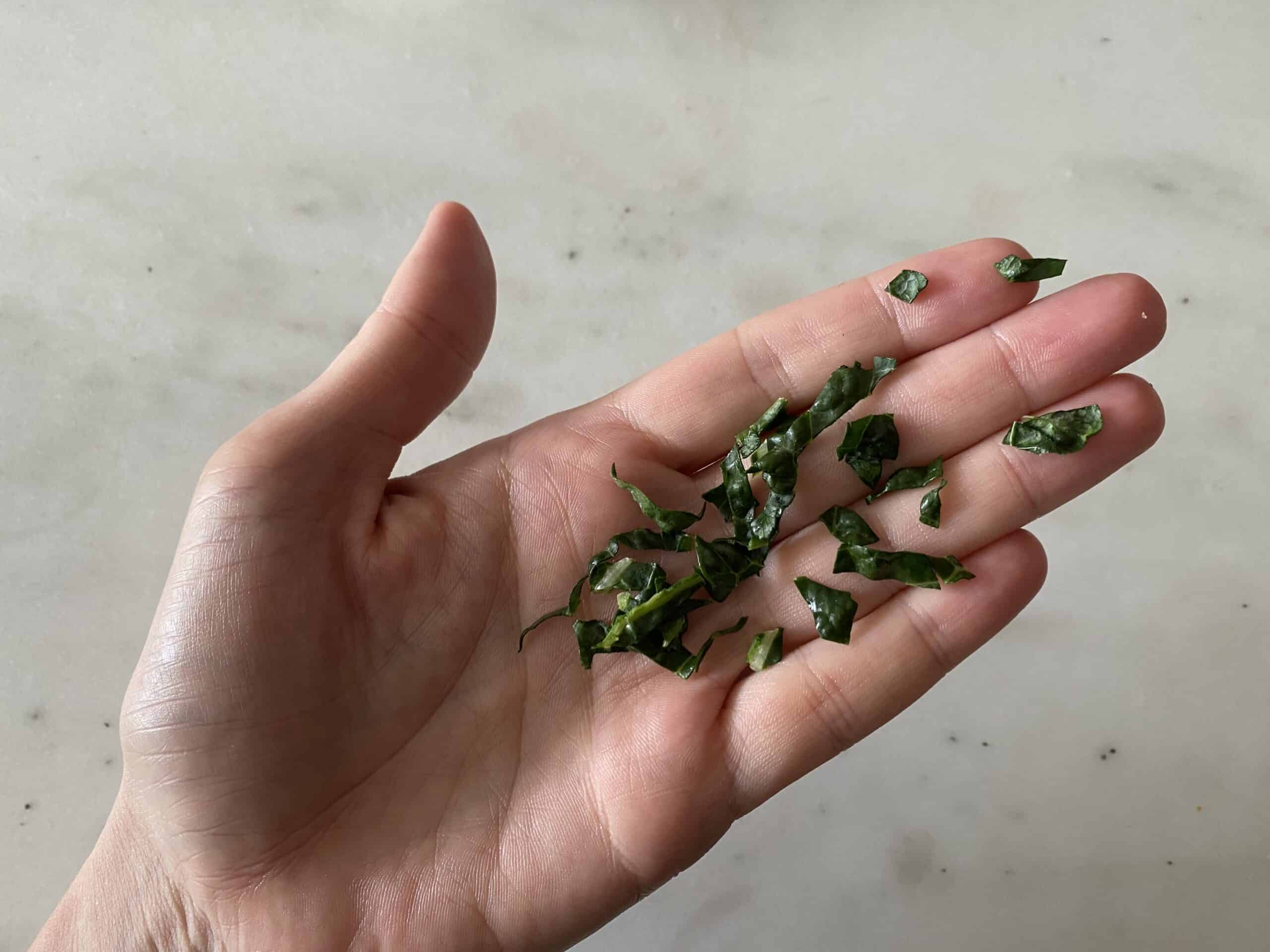 a hand holding shredded kale pieces for babies starting solids