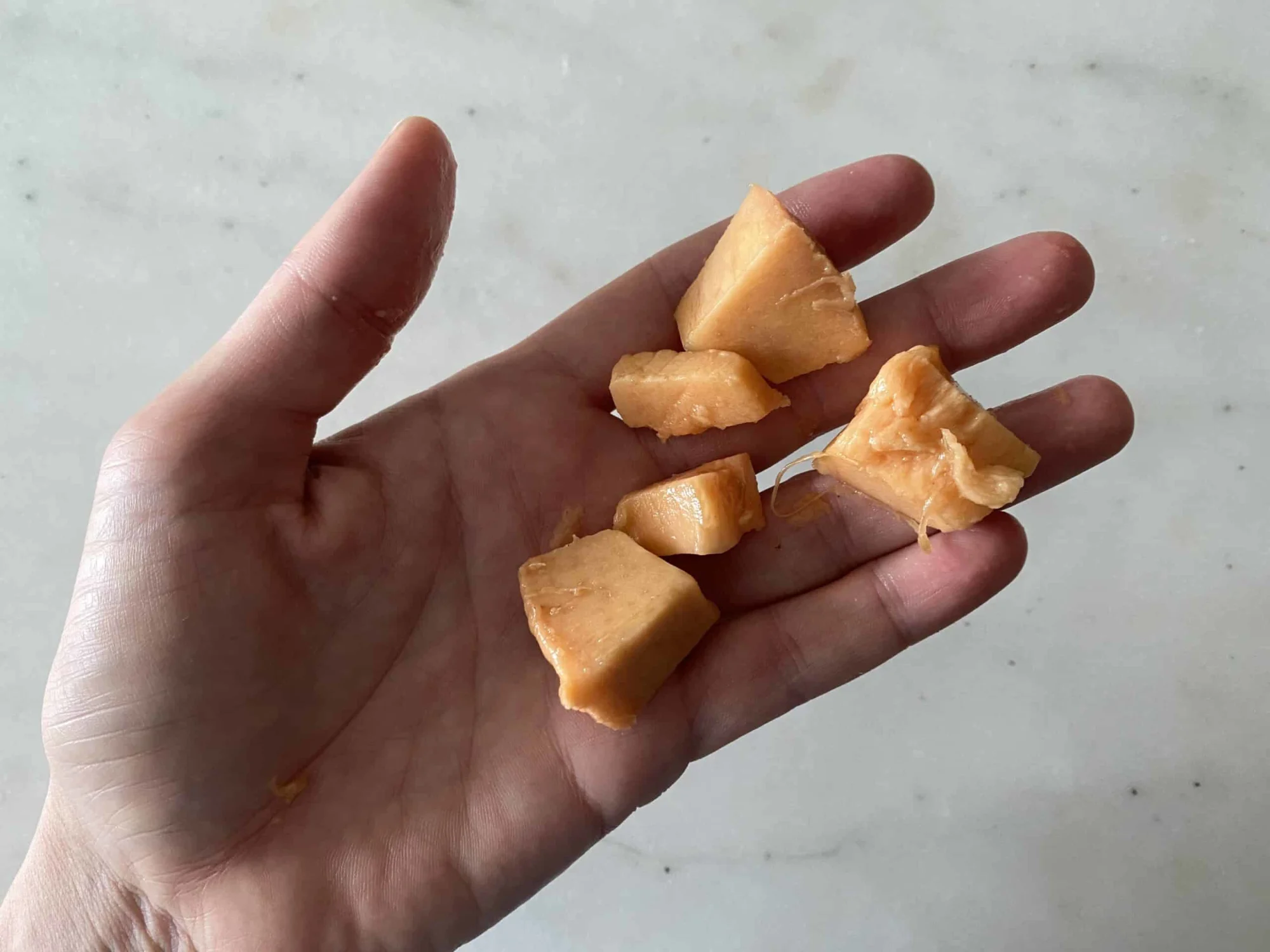 a hand holding bite-sized pieces of zapote for babies 9 months+