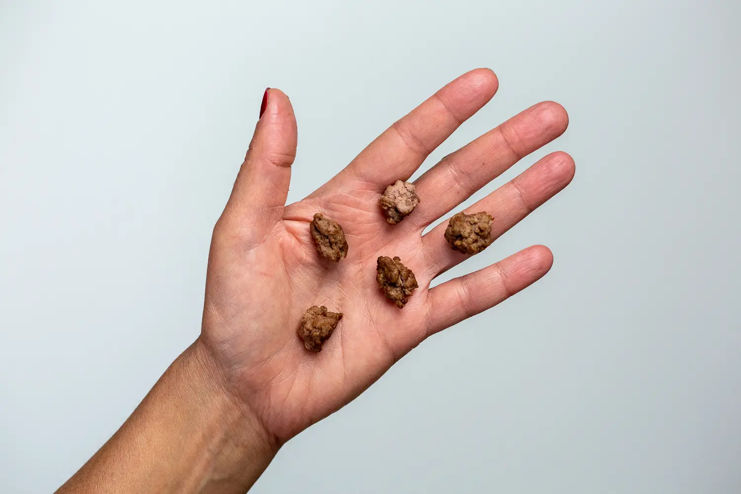 a photograph of bite-sized pieces of meatball in a hand
