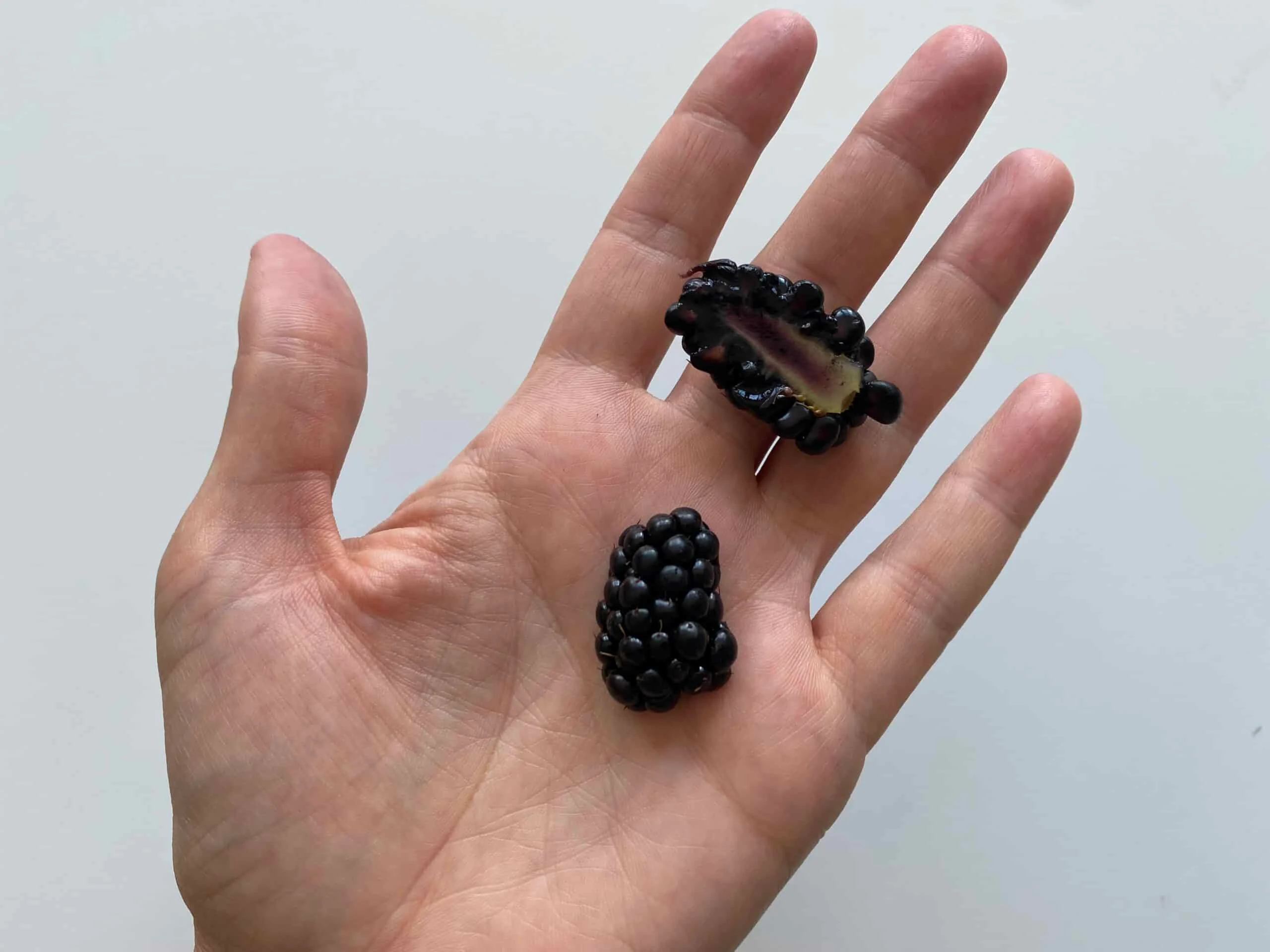 blackberries halved Solid Starts