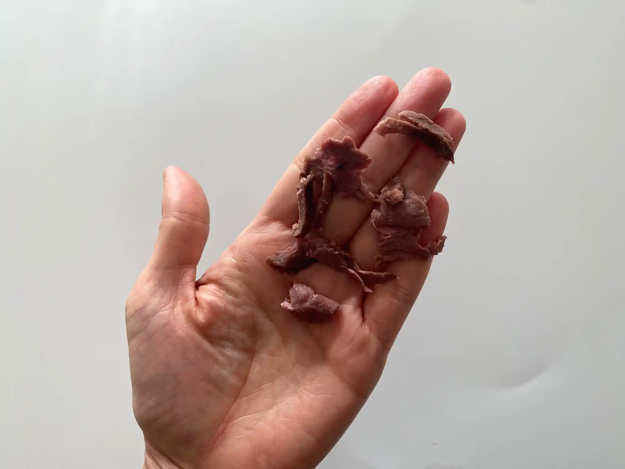 a hand holding six shredded pieces of goose meat