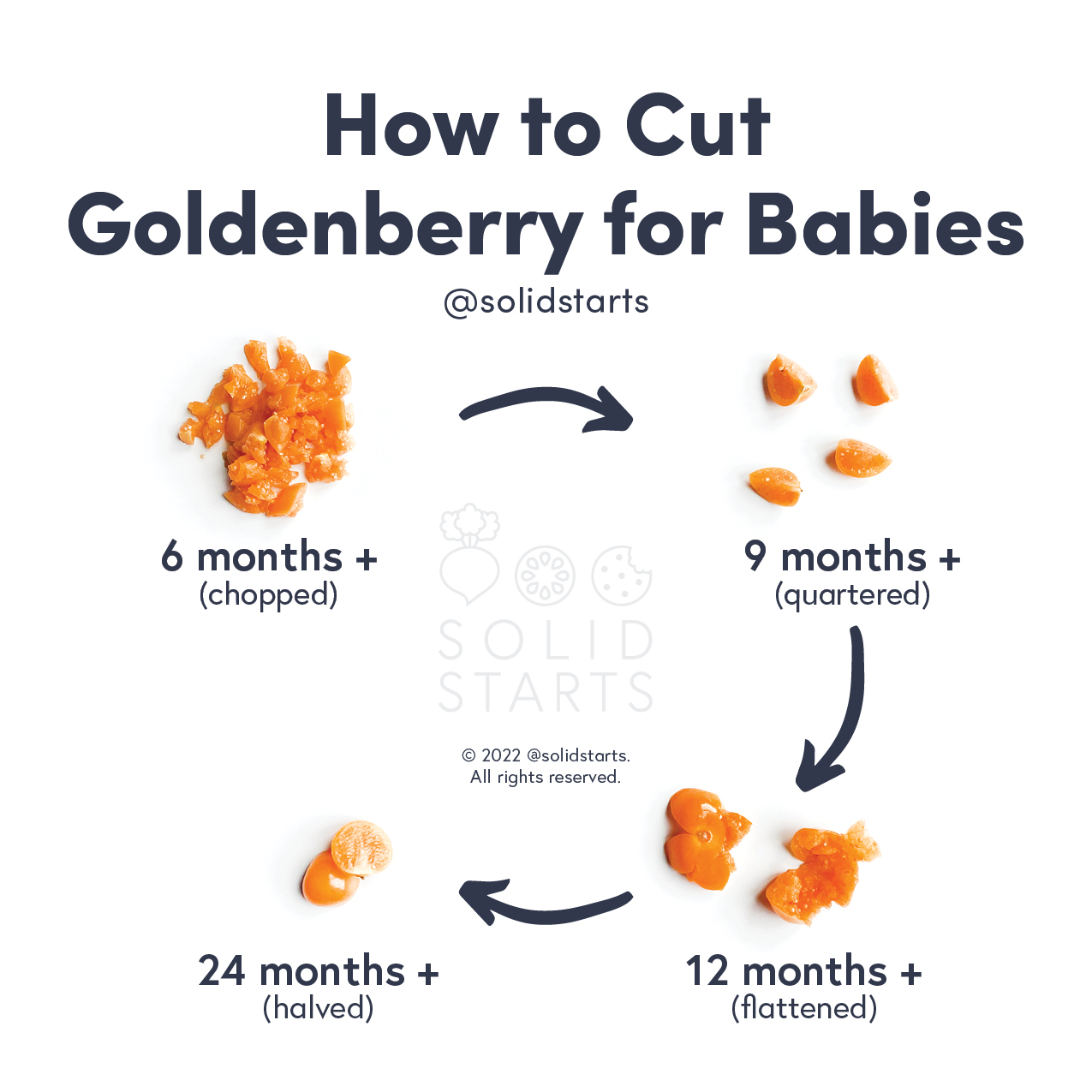 Solid Starts Goldenberry for Babies When Can Babies Eat Goldenberry