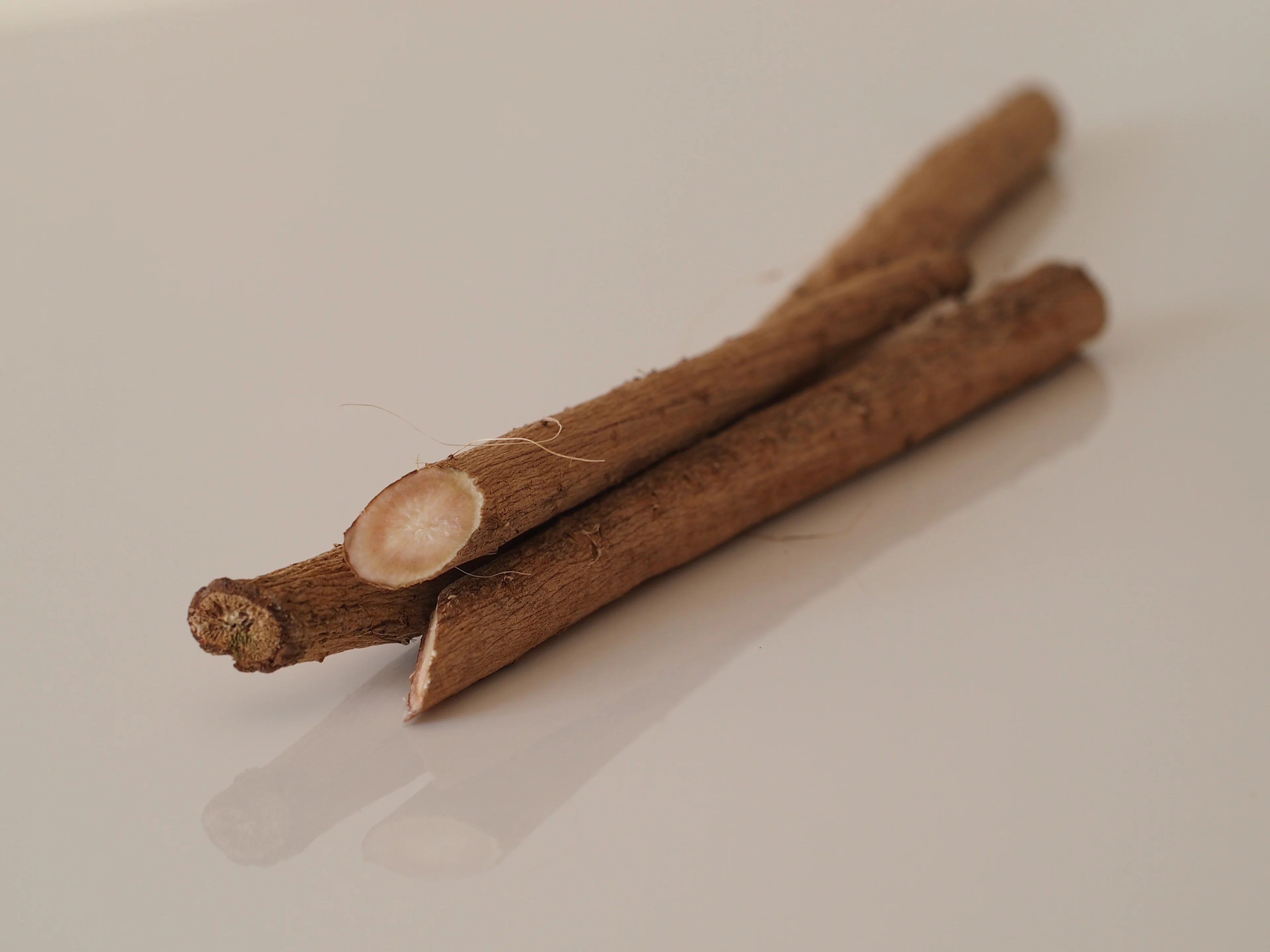 Three pieces of burdock root (gobo) with rough brown skin on a white reflective surface, with one piece cut crosswise to reveal its pale, cream-colored interior.