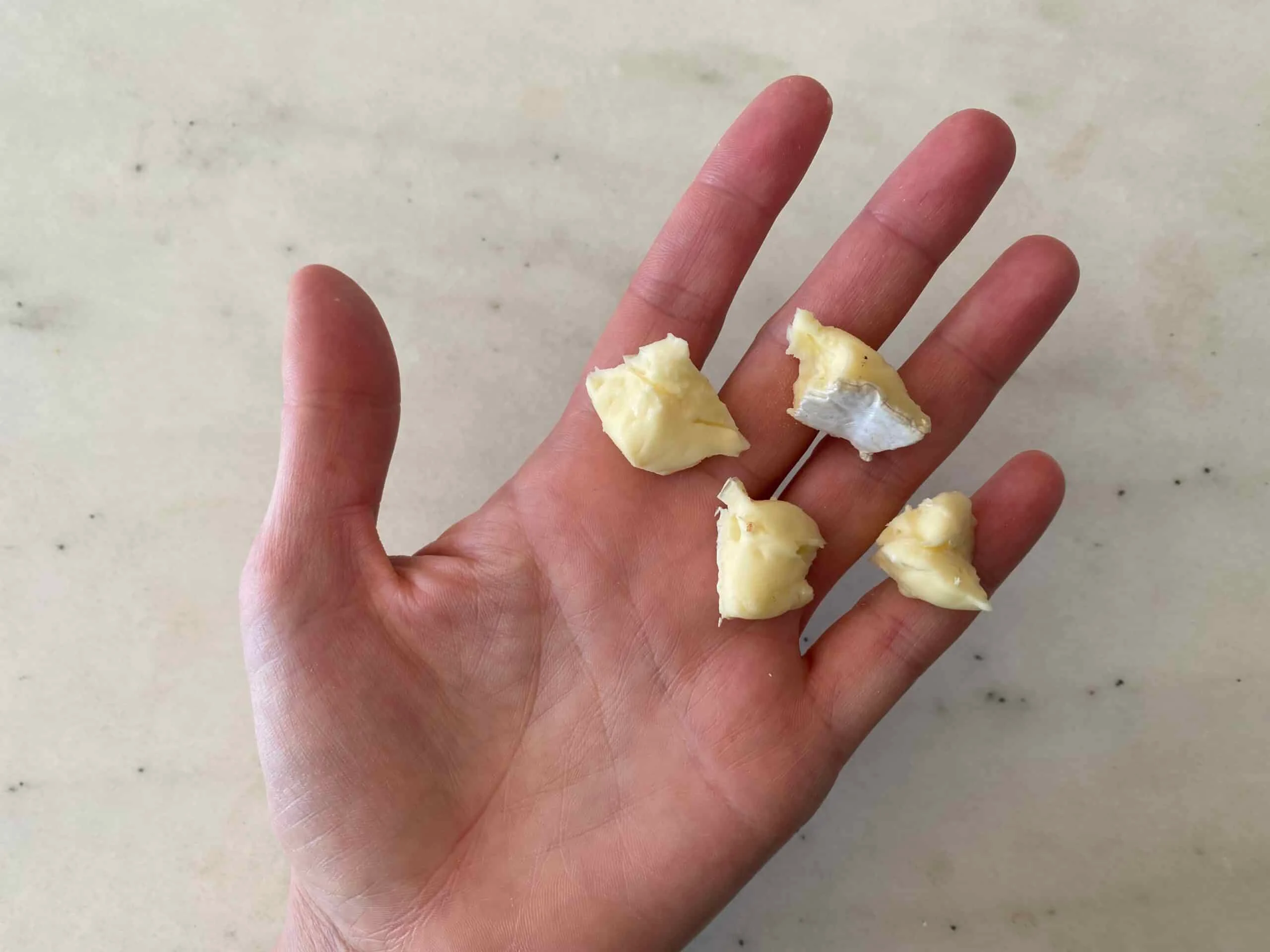 Brie-Bite-sized-Pieces-©-Solid-Starts-Inc.-2022.-All-Rights-Reserved.--scaled
