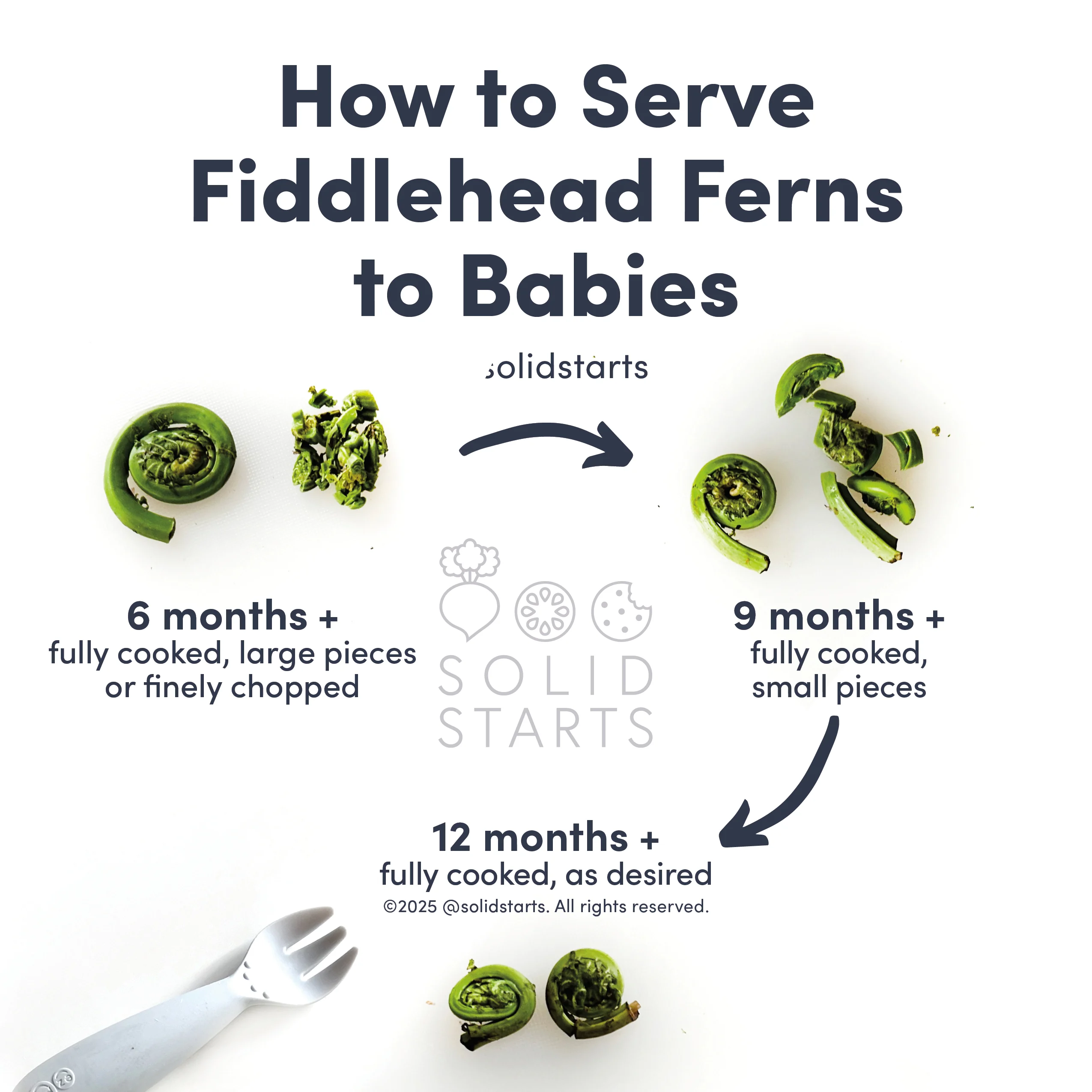 a Solid Starts infographic with the header How to Serve Fiddlehead Ferns to Babies: fully cooked, large pieces or finely chopped for babies 6 months +, fully cooked, small pieces for 9 months +, fully cooked, as desired for 12 months +