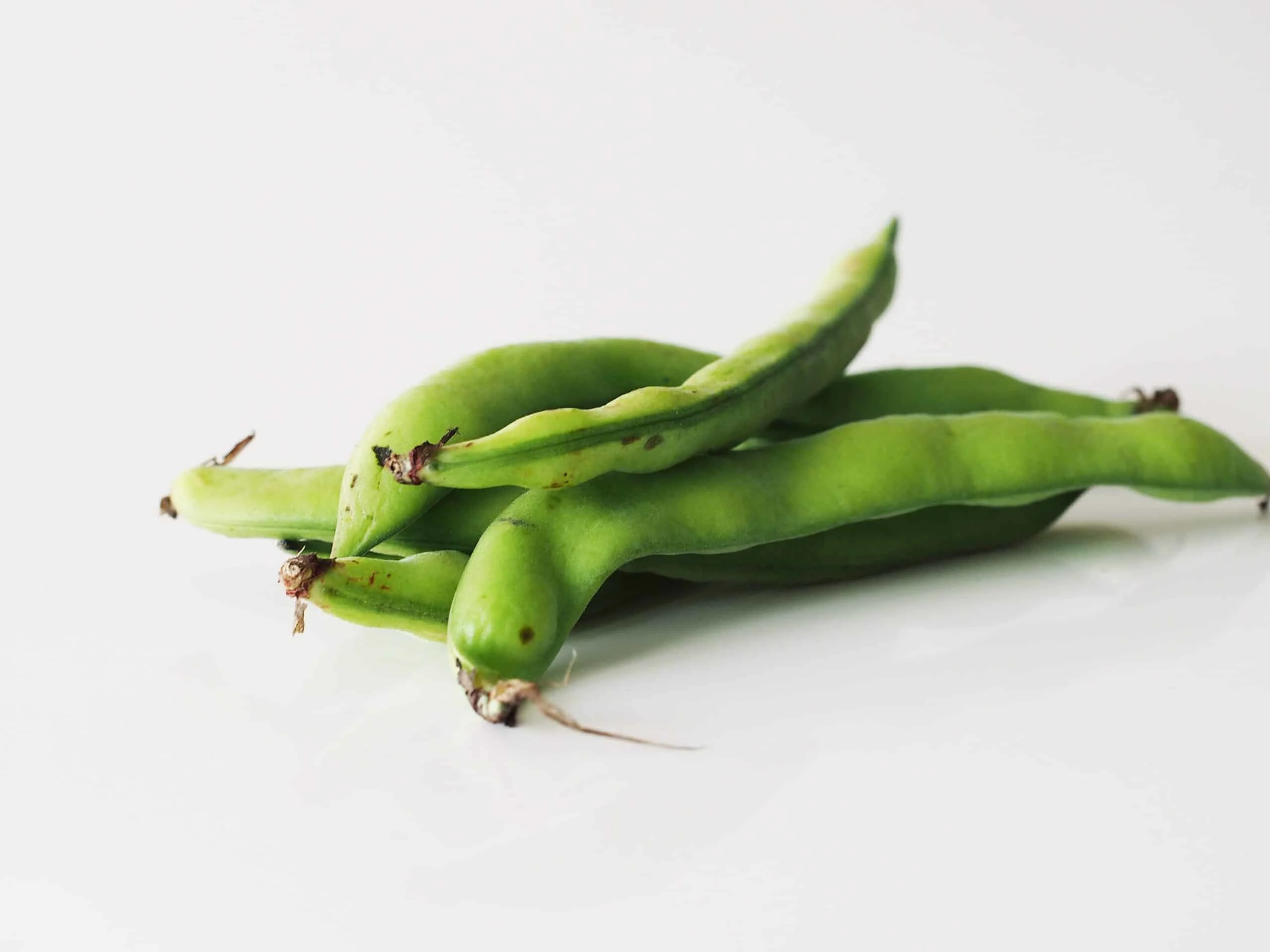 fava beans before being prepared for babies starting solids