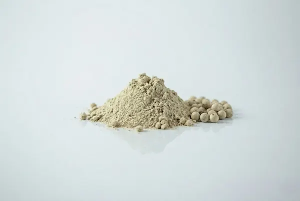 White Pepper for Babies Solid Starts a photograph of a small pile of powdered white pepper next to some whole white peppercorns