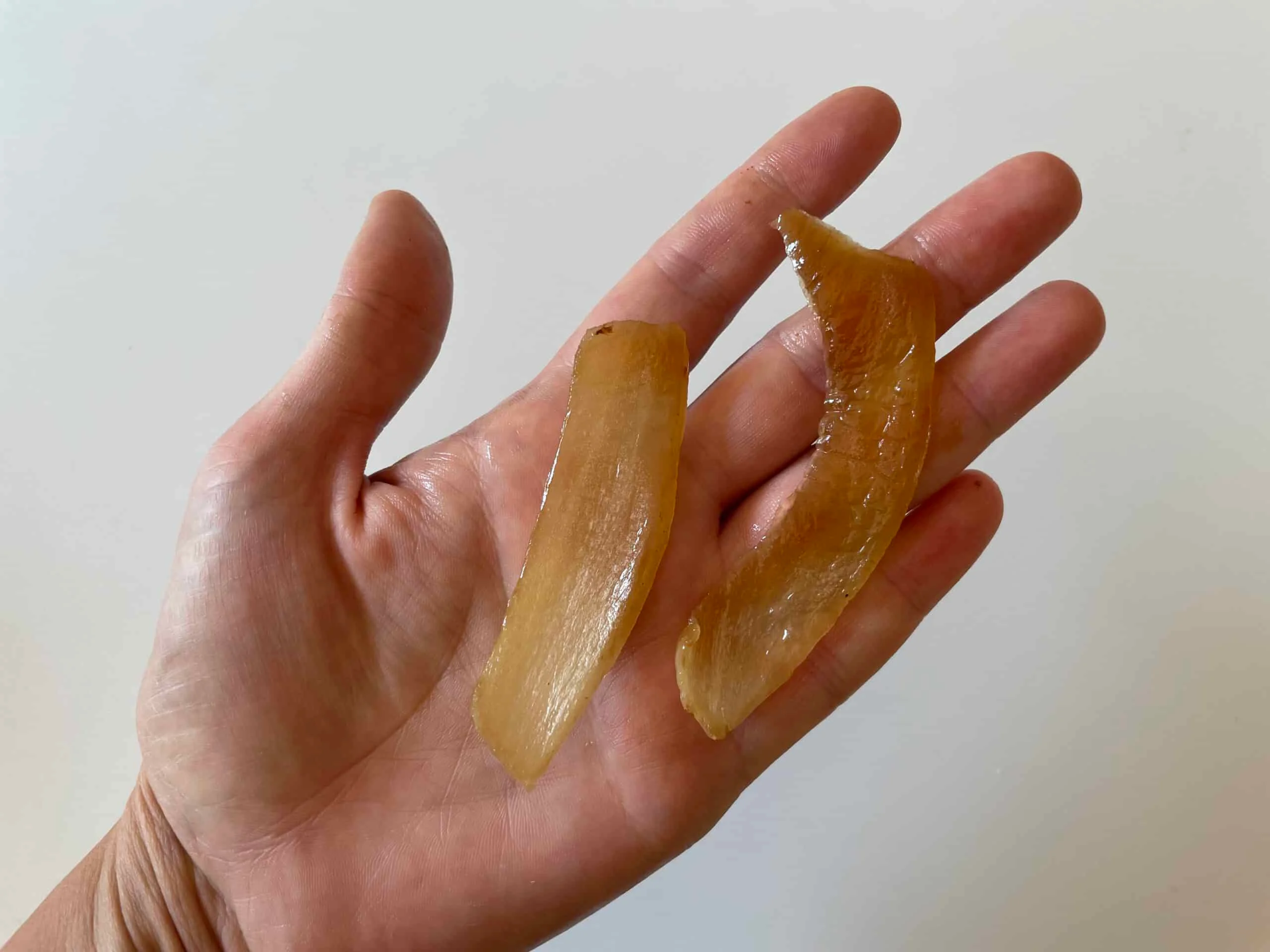 Onion cooked slices Solid Starts