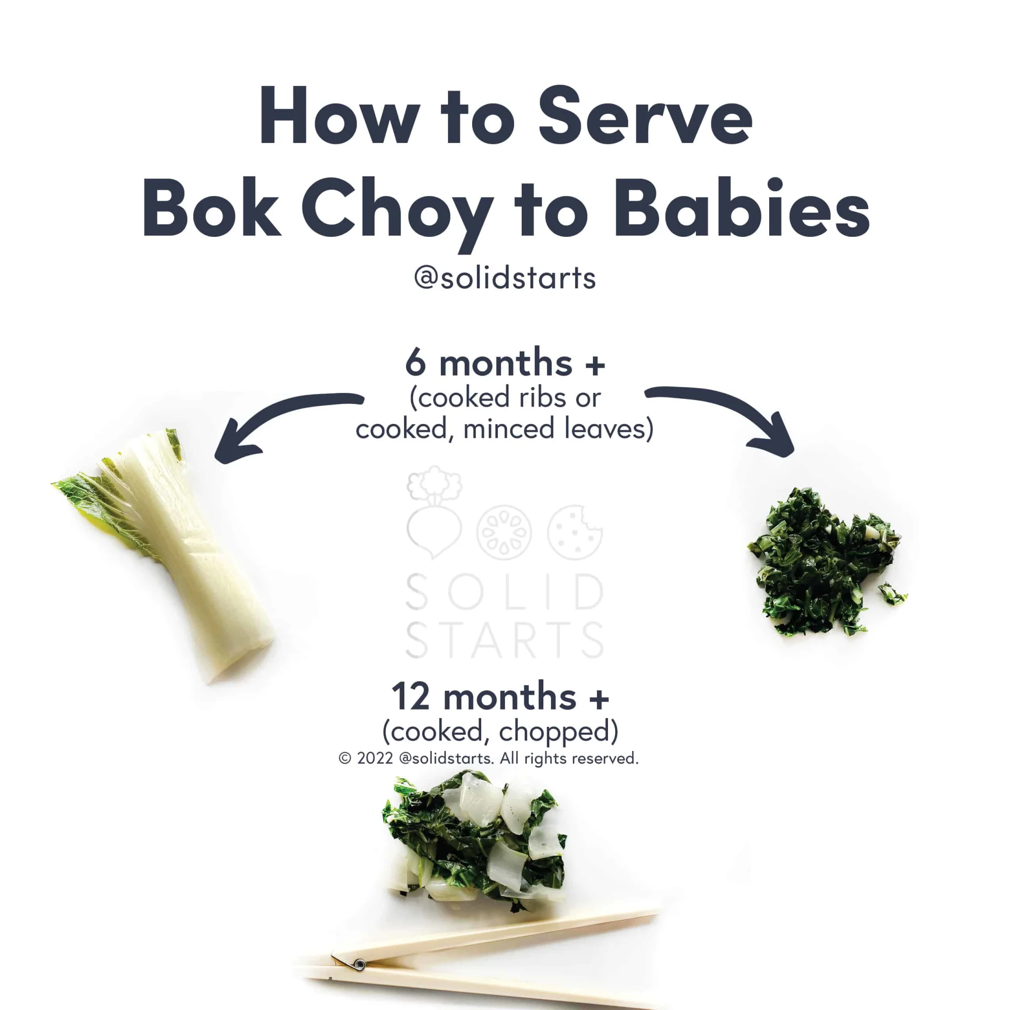 a Solid Starts infographic with the header How to Serve Bok Choy to Babies: cooked ribs or cooked, minced greens for 6 months+, cooked and chopped for 12 mos+