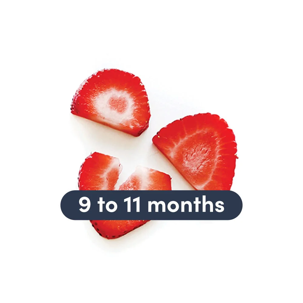 a photograph of two thin slices of strawberry with text that reads 9 to 11 months above them
