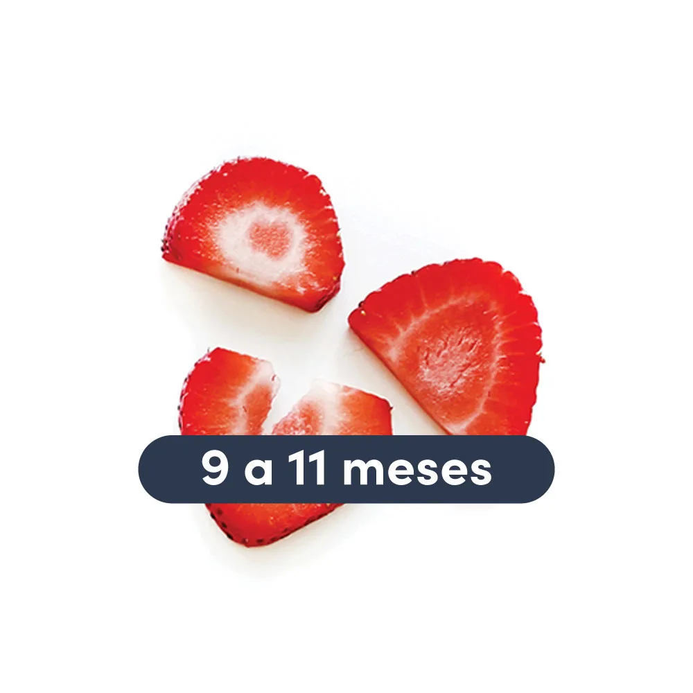 a photograph of two thin slices of strawberry with text that reads 9 to 11 months above them