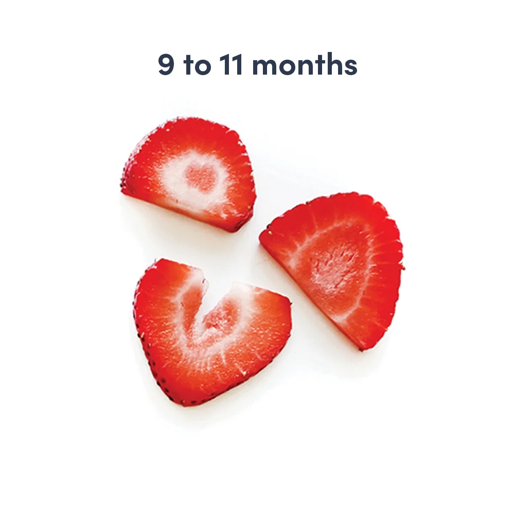 a photograph of two thin slices of strawberry with text that reads 9 to 11 months above them