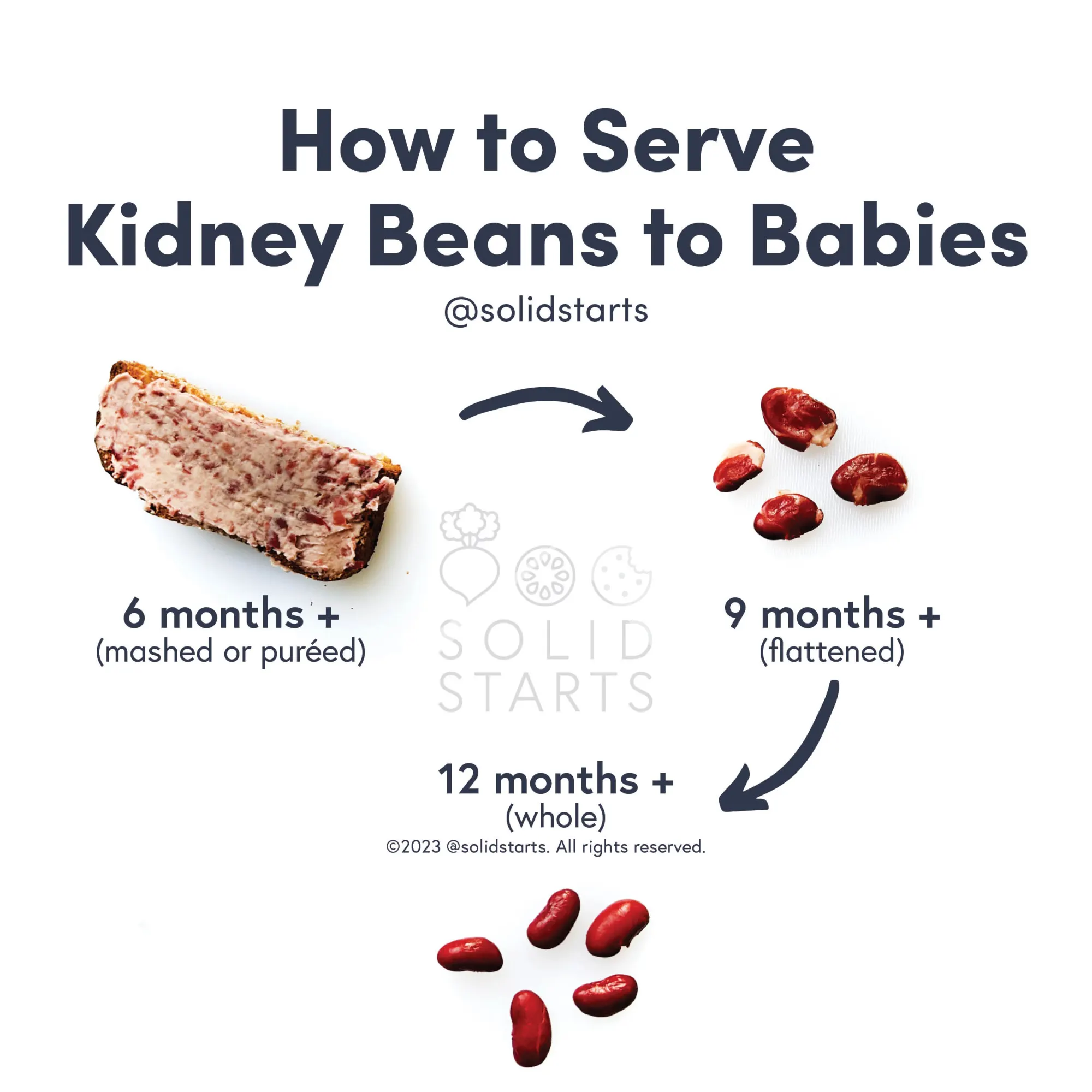 a Solid Starts infographic with the header How to Serve Kidney Beans to Babies: mashed or pureed for 6 months+, flattened for 9 months+, whole for 12 months+