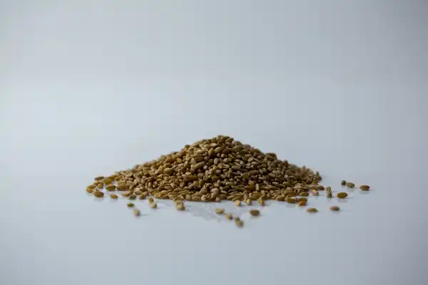 a pile of uncooked spelt on a white background