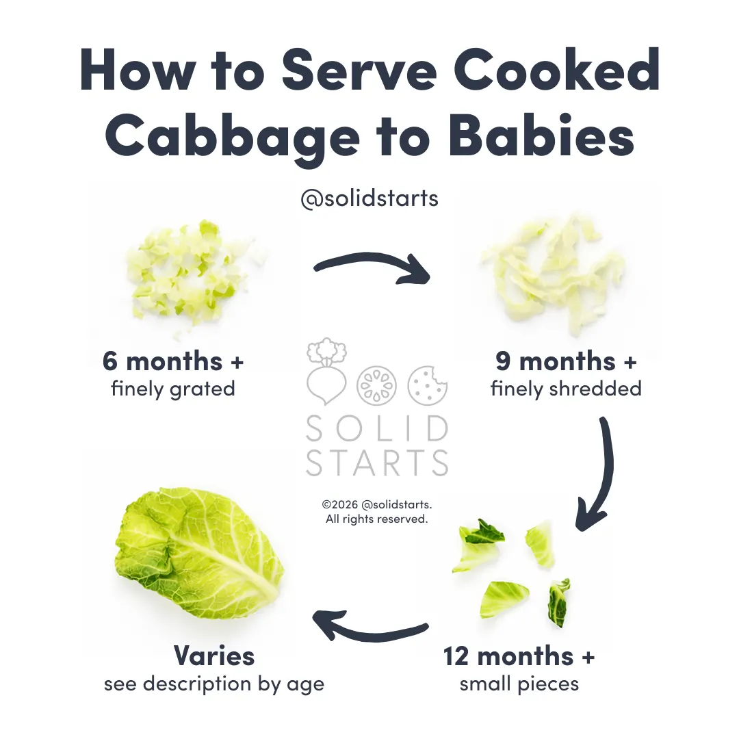 a Solid Starts infographic with the header How to Serve Cooked Cabbage to Babies
