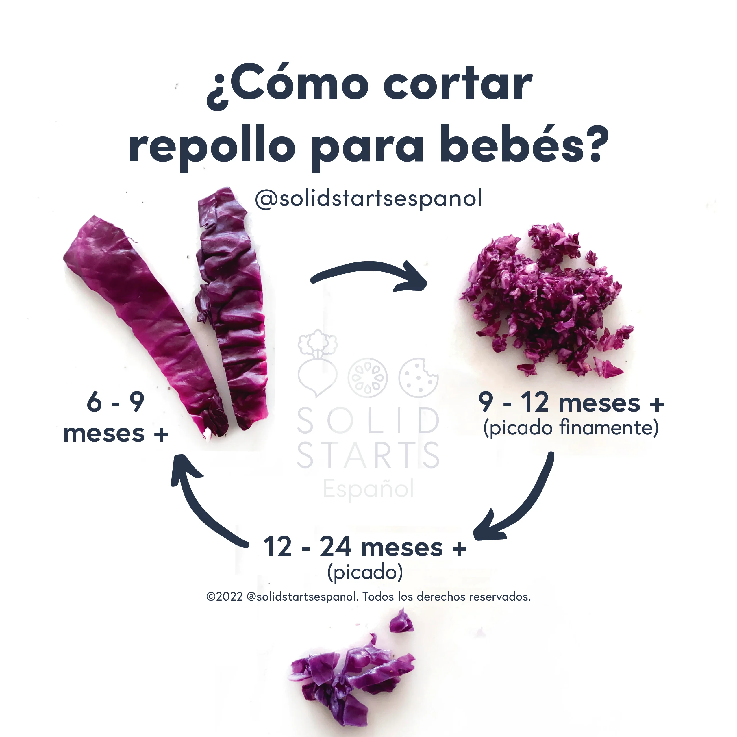 a Solid Starts infographic with the header How to Serve Cooked Cabbage to Babies