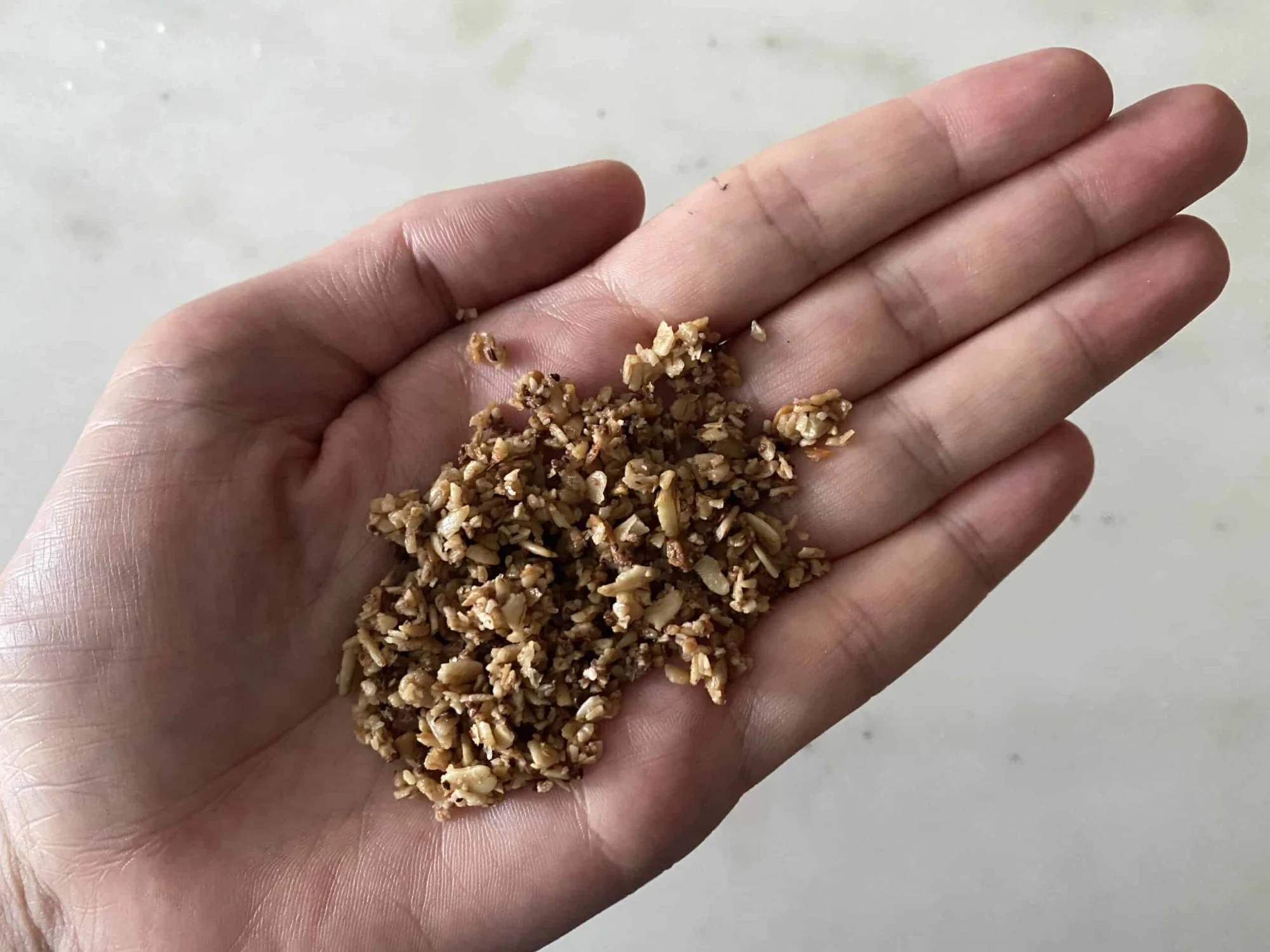 pulverized granola in the palm of a hand