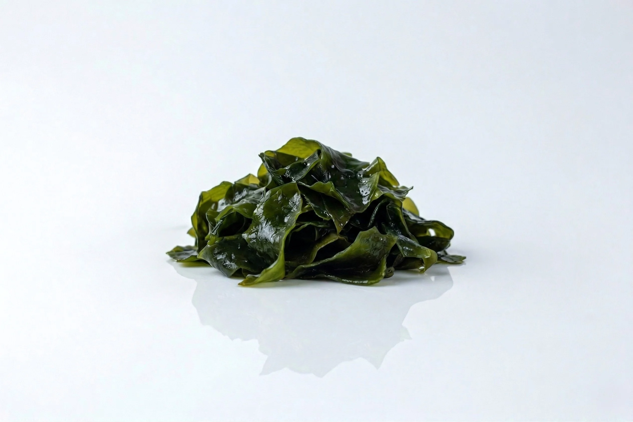 A pile of rehydrated wakame seaweed with glossy, dark green leaves on a white reflective surface against a light grey background.