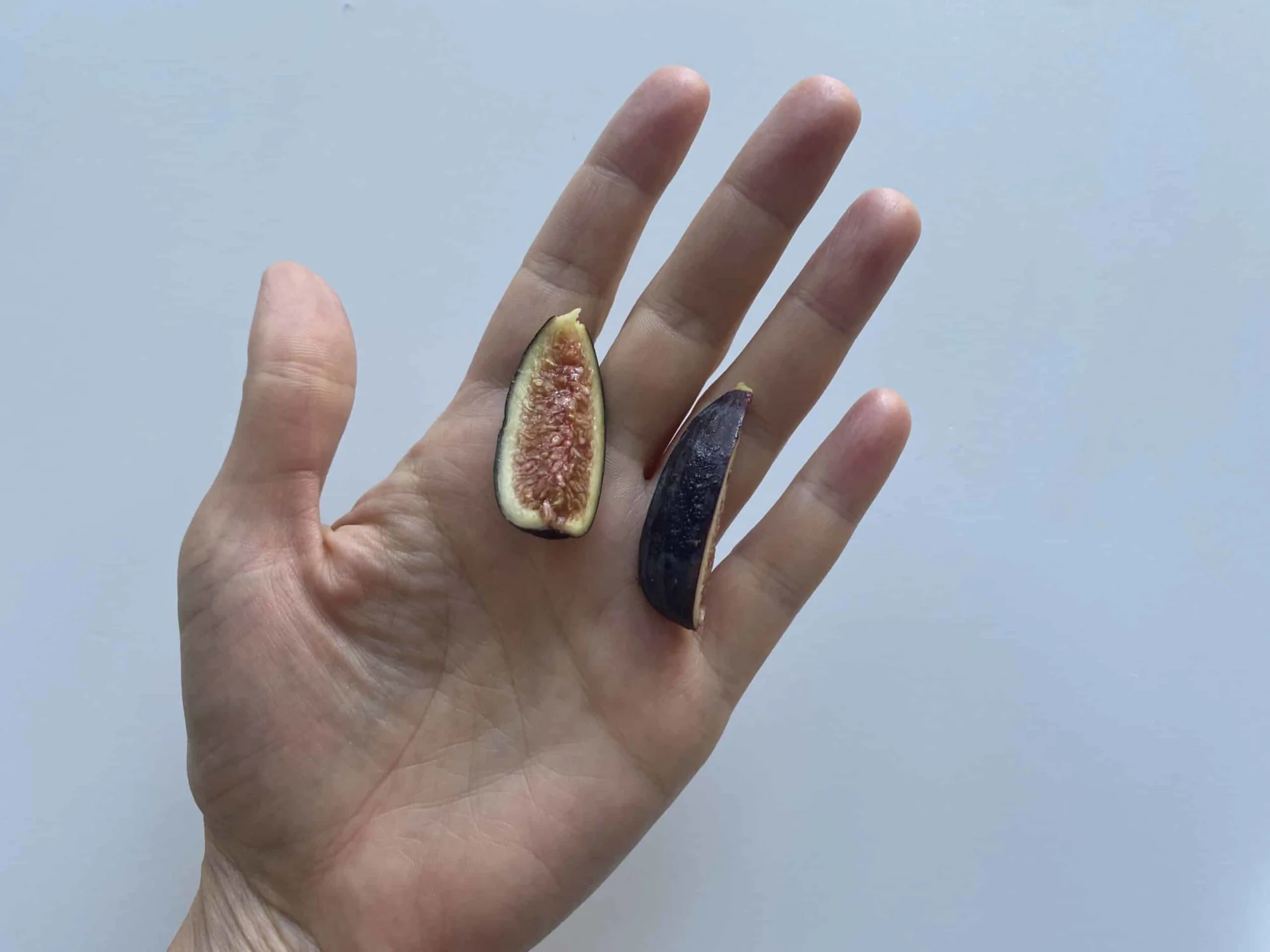 a hand holding two pieces of a fig that has been quartered lengthwise for babies 9 months+