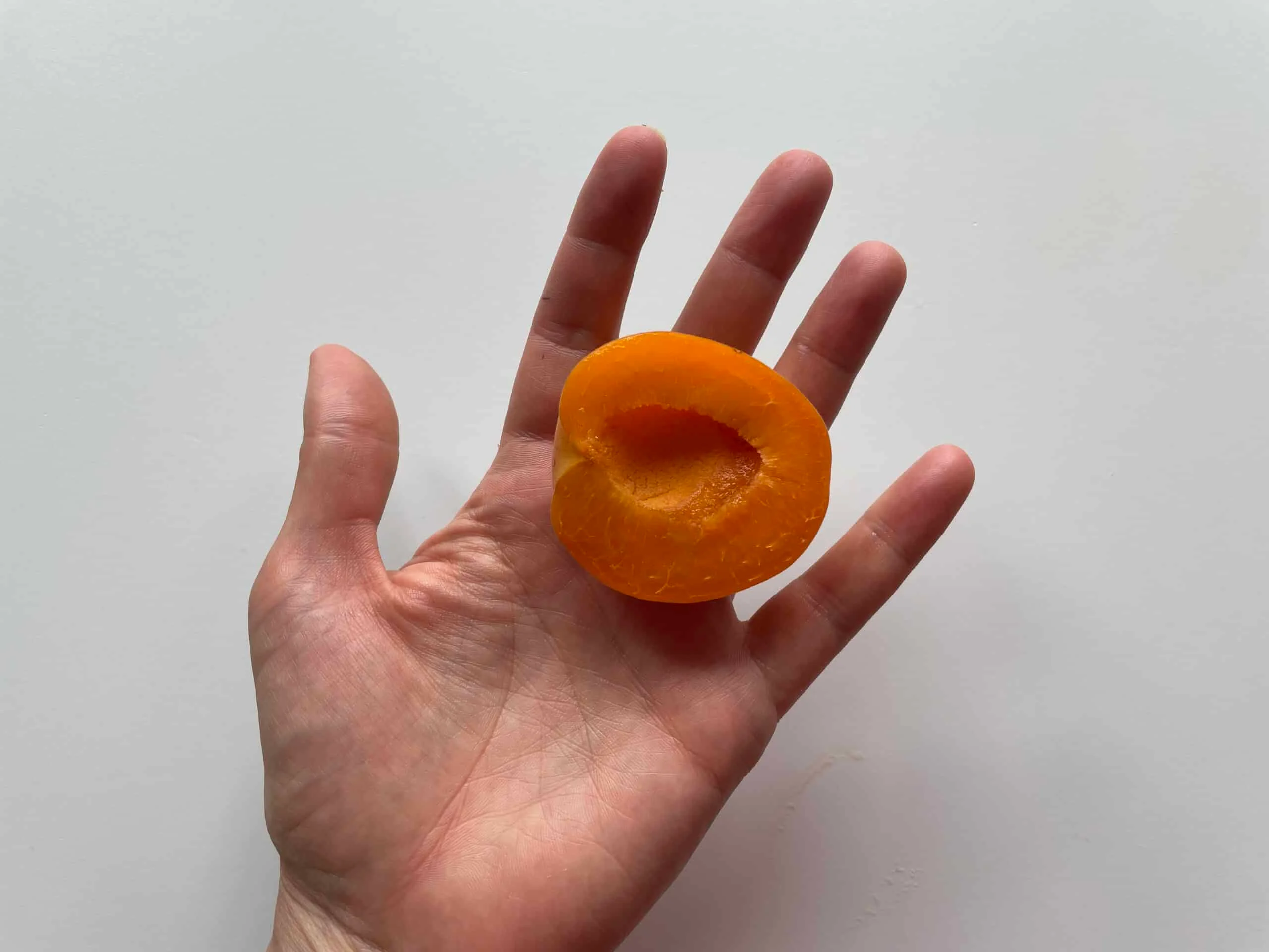 apricot for babies solid starts