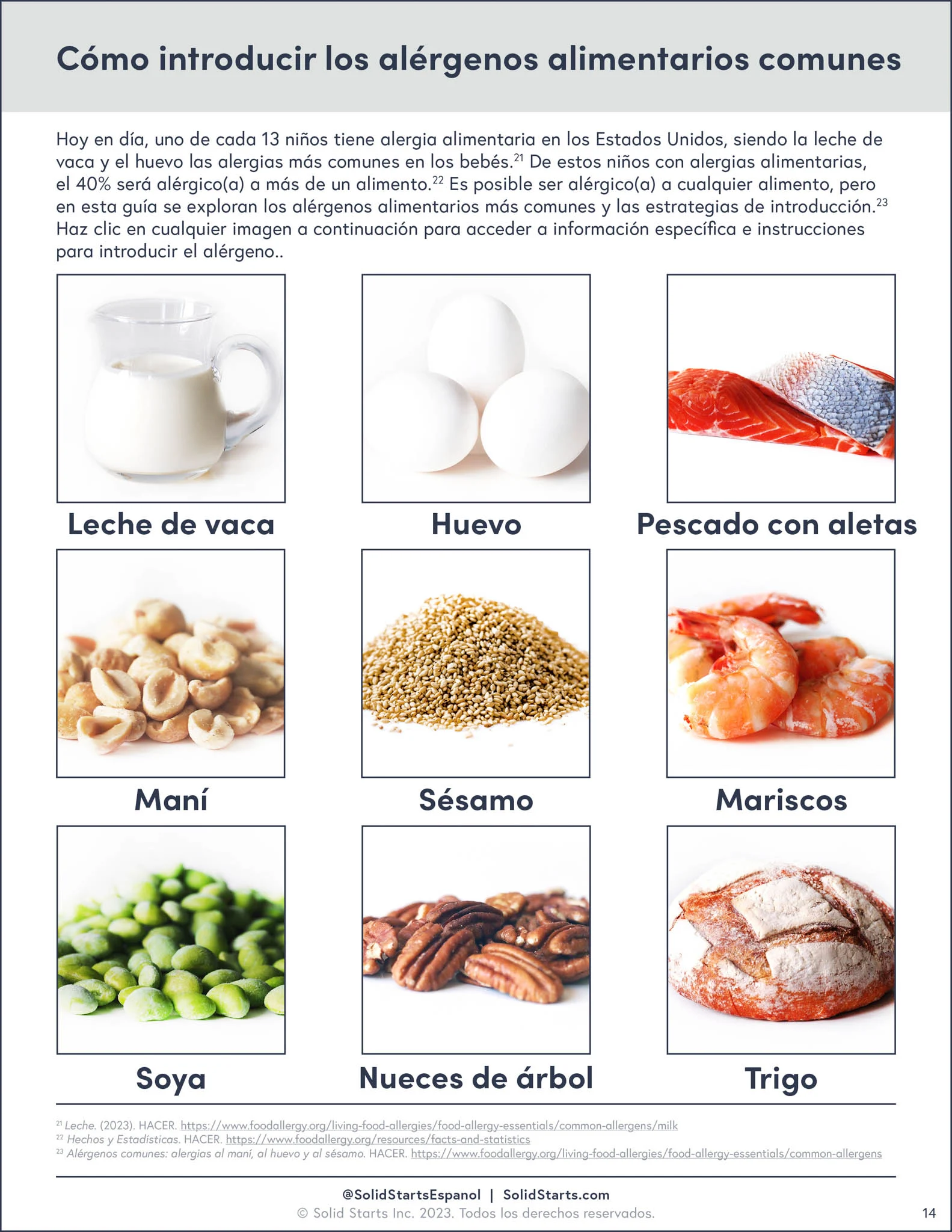 Introducing Allergens to Babies_guide preview web 2