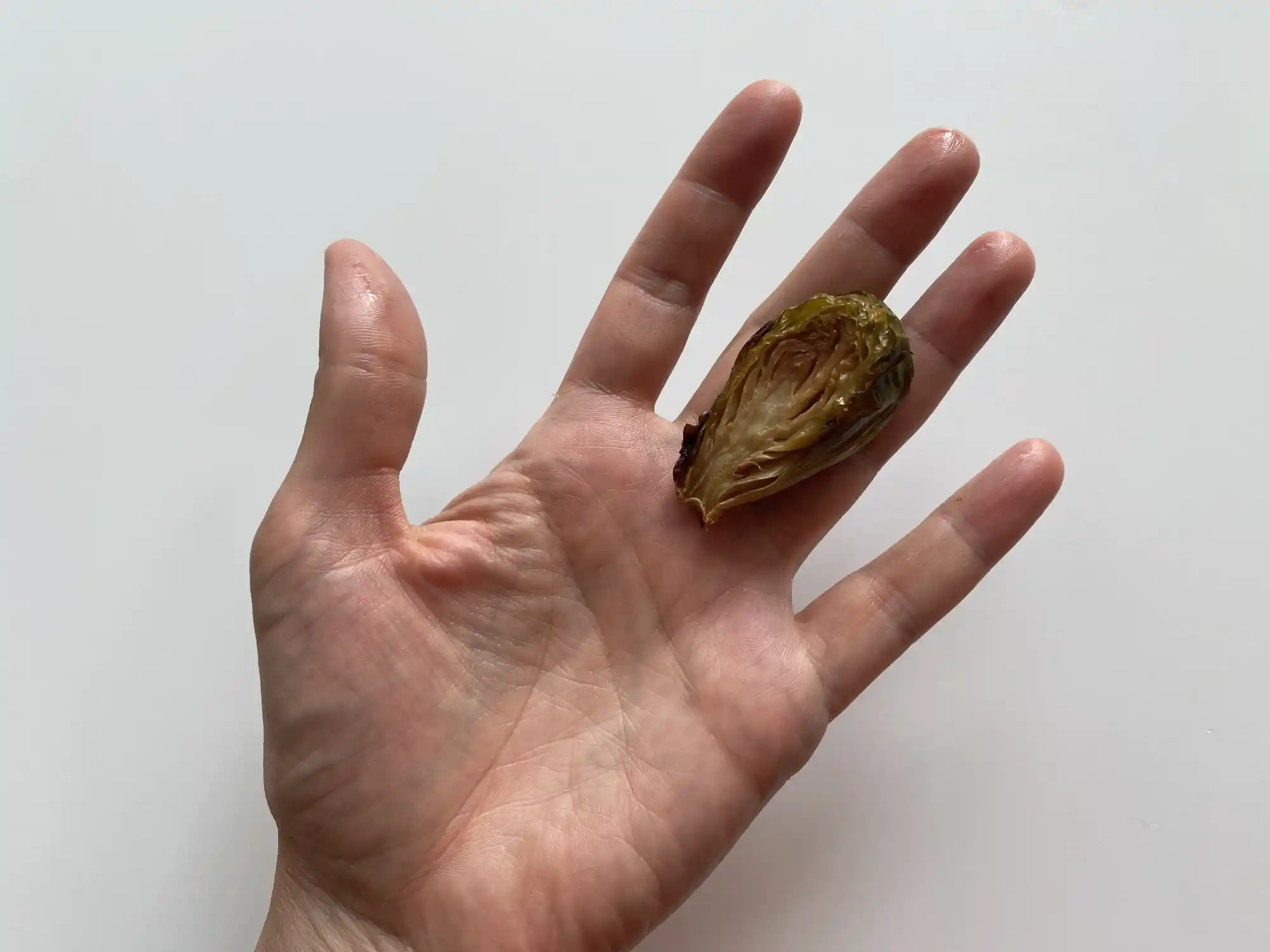 a photograph of a hand holding a large cooked half of a brussels sprout