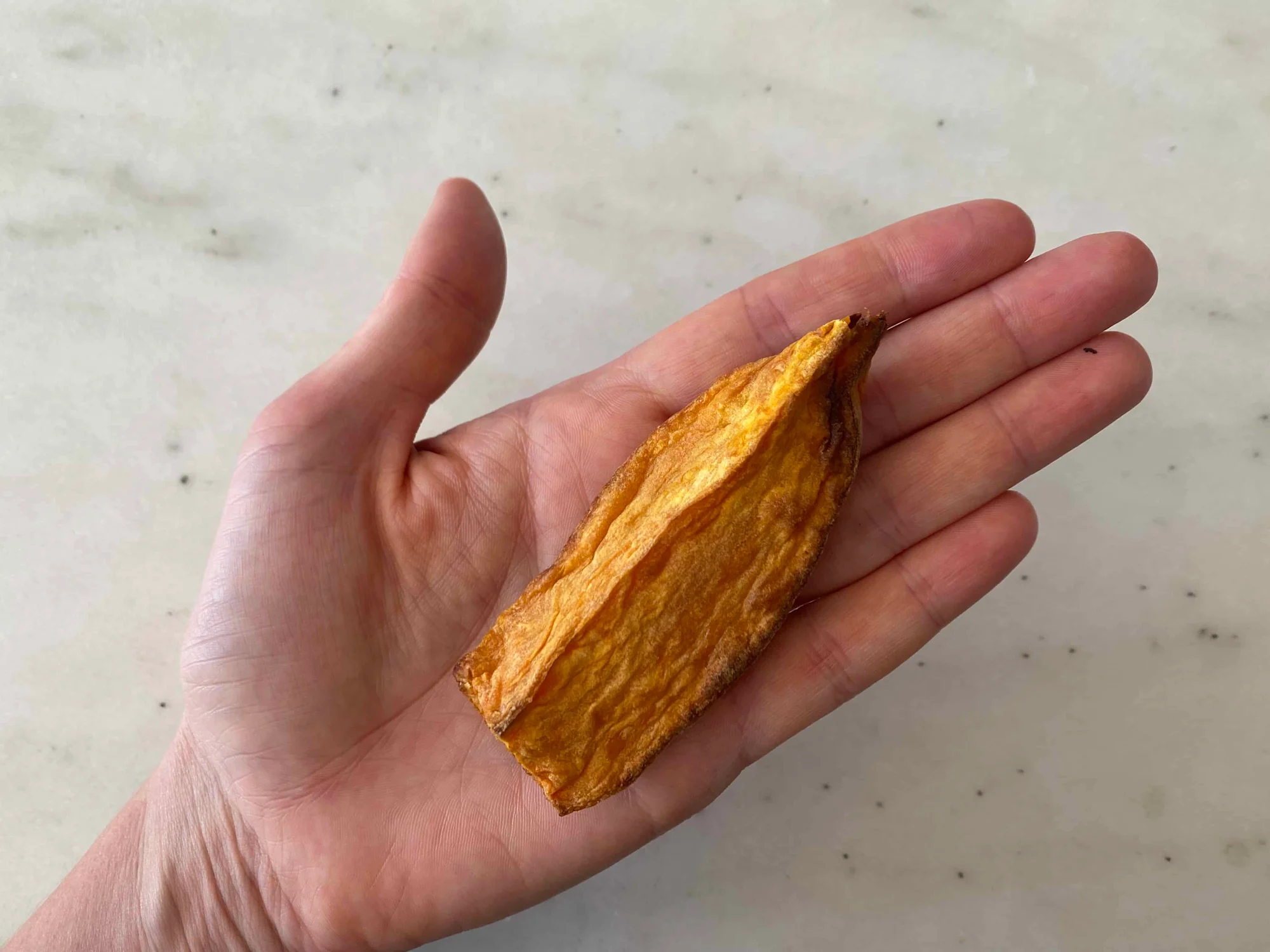 a photograph of a hand holding a large cooked sweet potato wedge