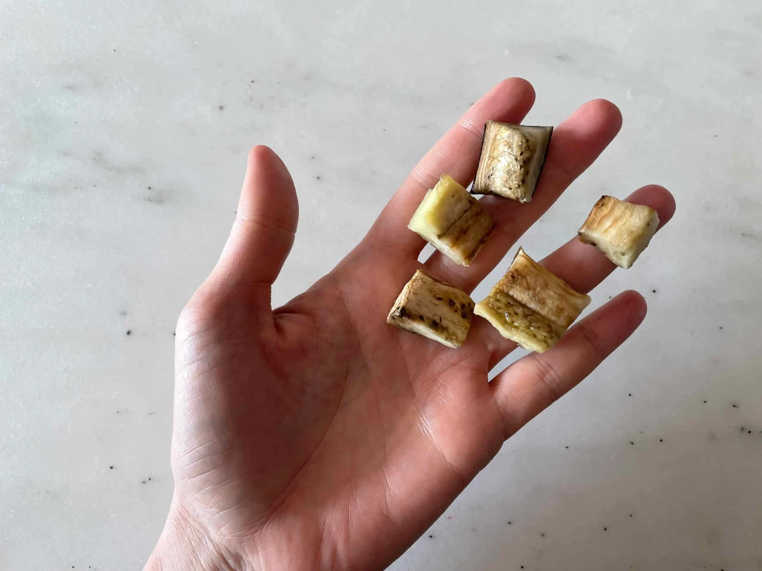 eggplant for babies 9 months solid starts