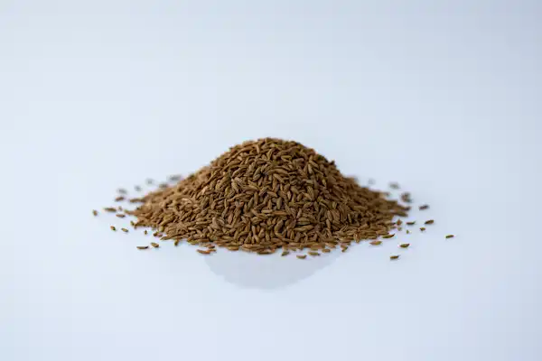 a photograph of a pile of whole caraway seeds