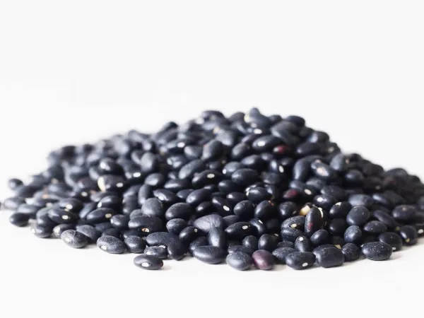 a pile of dried black beans before being prepared for babies starting solid food