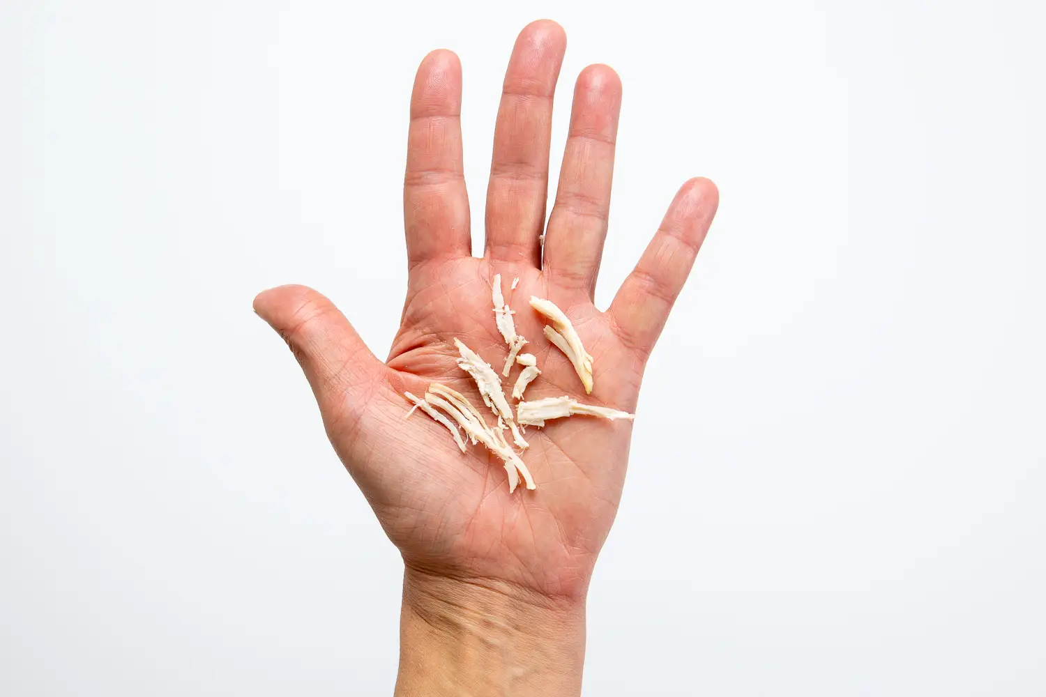 a photograph of a hand holding a few shredded pieces of chicken in the palm