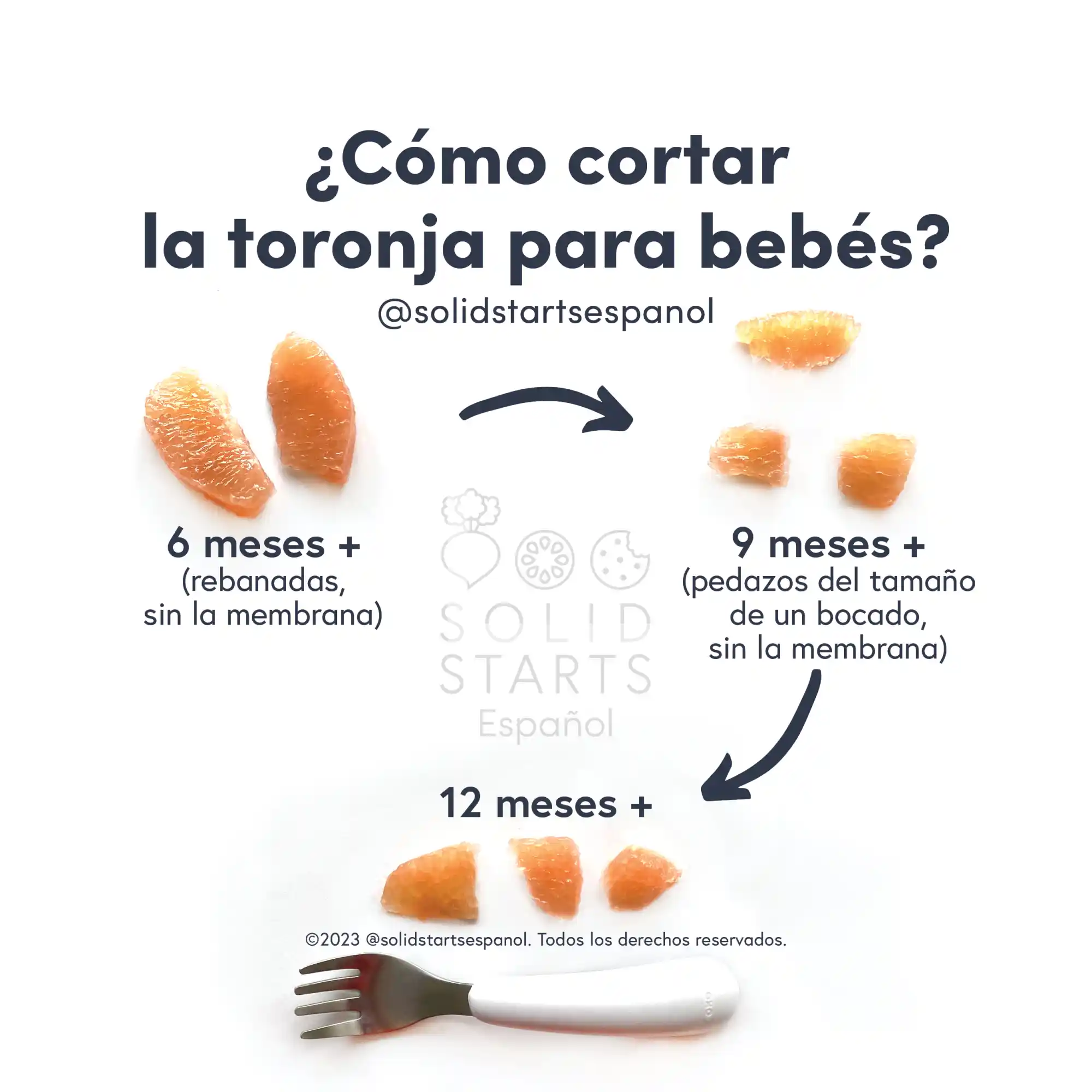 a Solid Starts infographic with the header How to Cut Grapefruit for Babies: slices with membrane and peel removed for babies 6-8 months+, bite-sized pieces with membrane and peel removed for 9-12 mos+, and bite-sized pieces with membrane and peel removed