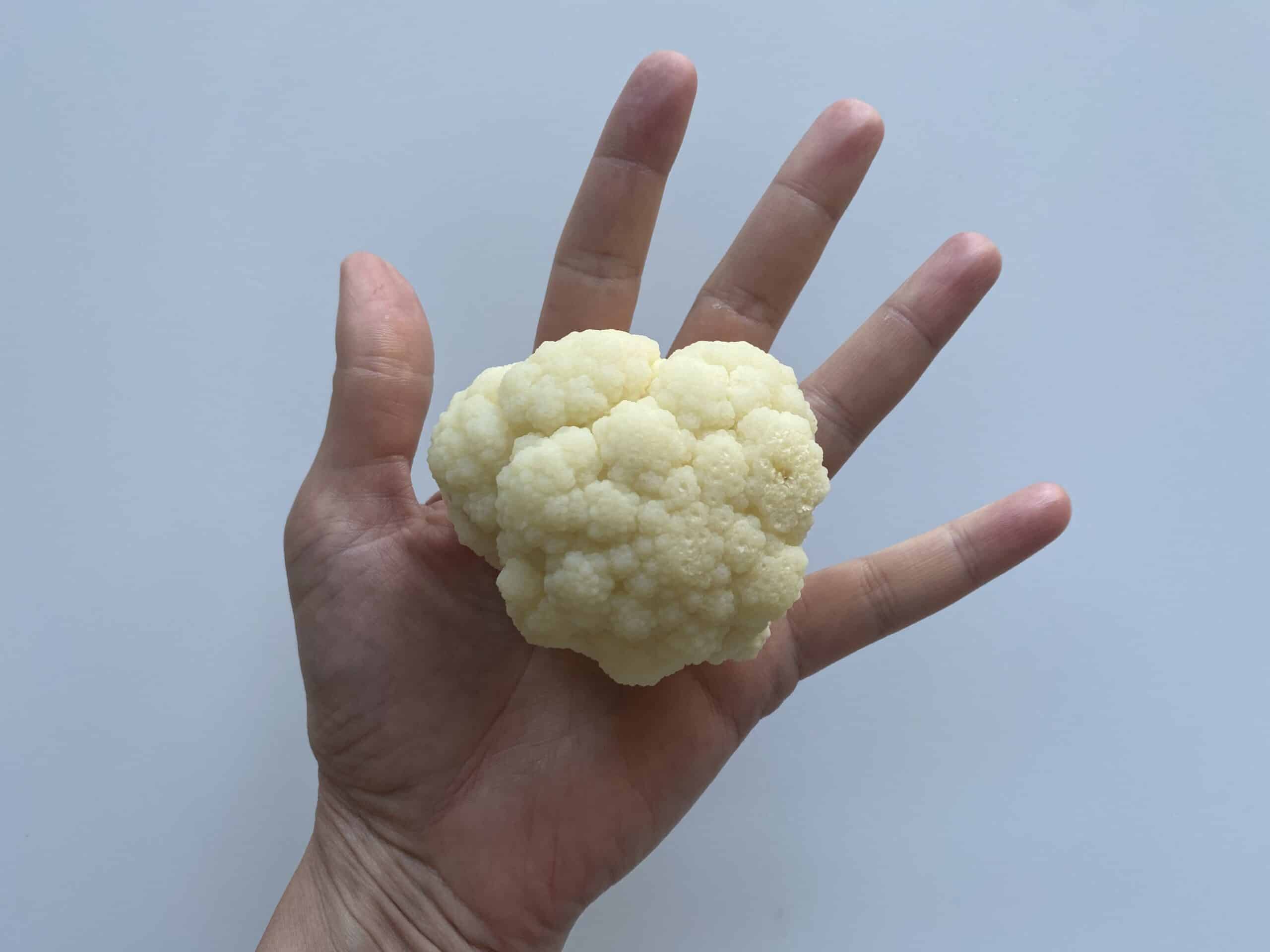 a hand holding a large cauliflower floret cooked until very soft for babies 6 months+
