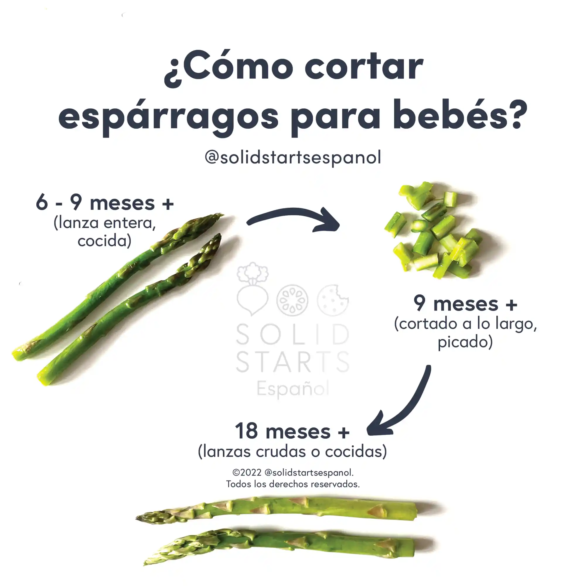 an infographic with the header "how to cut asparagus for babies: a whole cooked spear for babies 6 months+, cut lengthwise and roughly chopped for babies 9 months+, raw or cooked spears for 18 months+