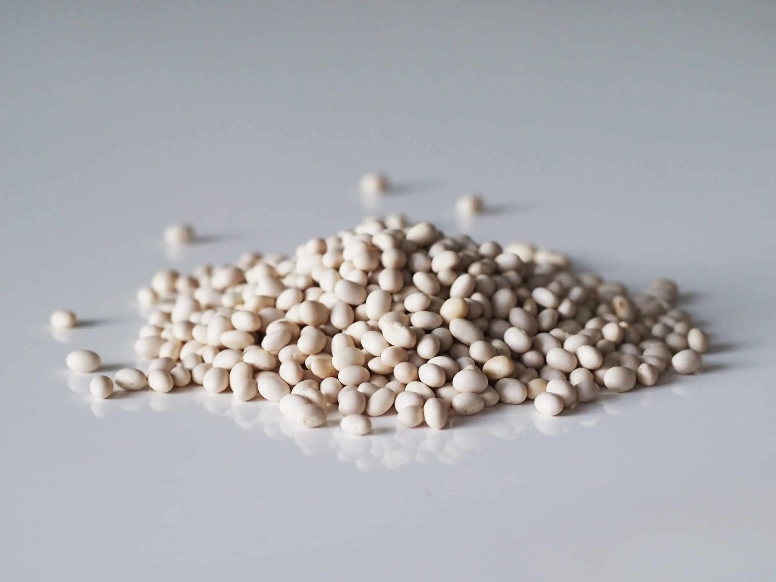 a pile of navy beans ready to be prepared for babies starting solids