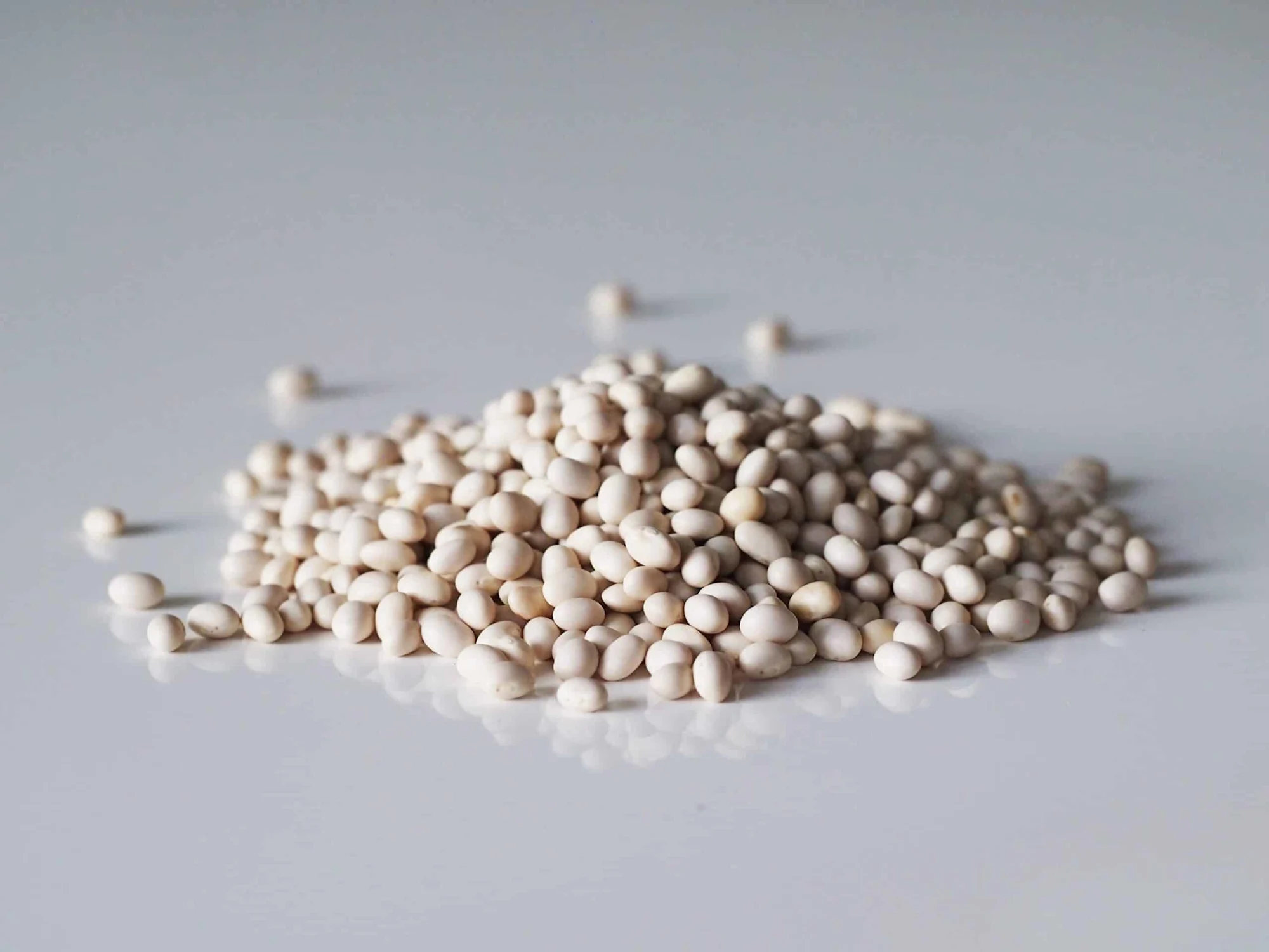 Navy Bean for Babies First Foods for Baby Solid Starts