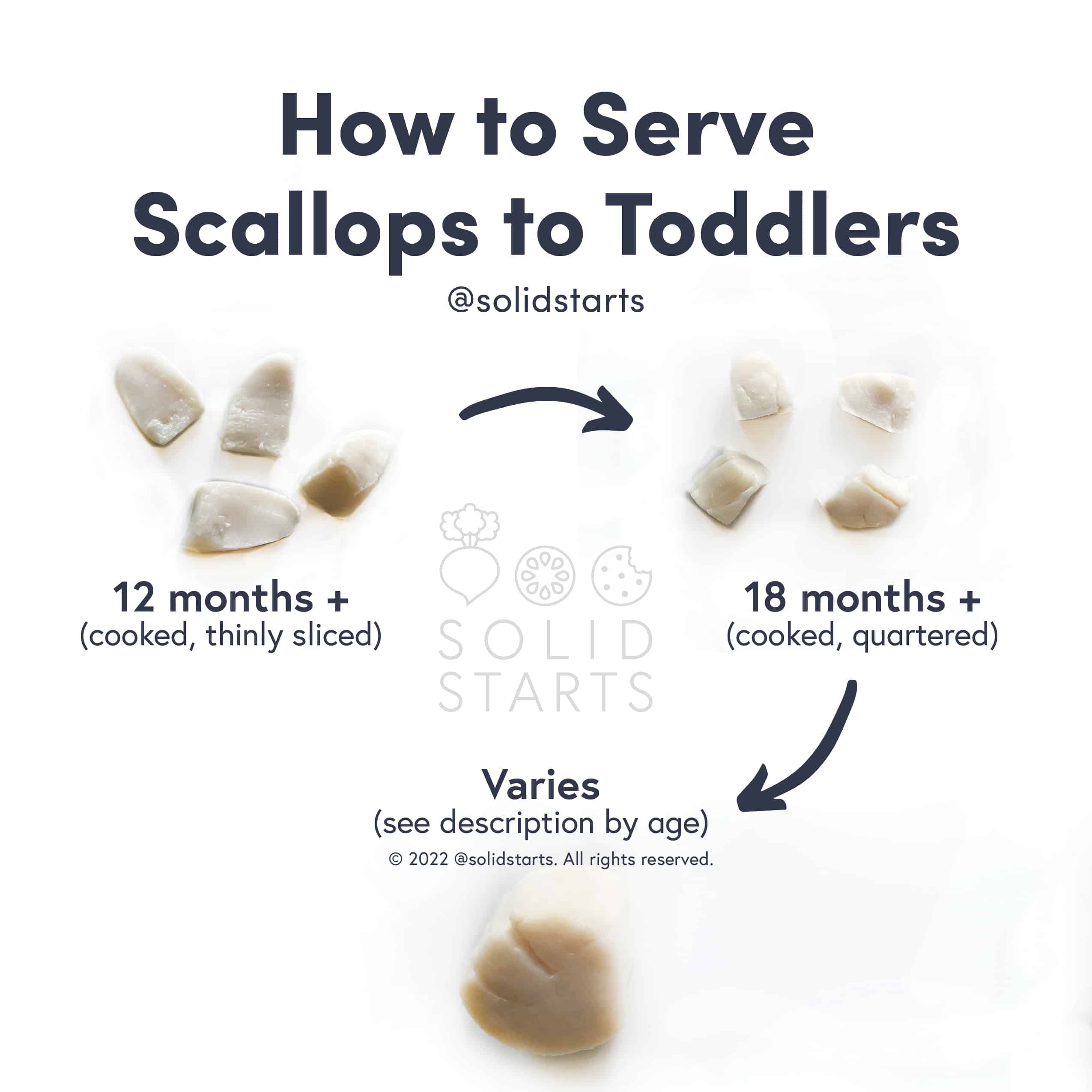 Solid Starts Scallops for Babies What You Must Know First Foods