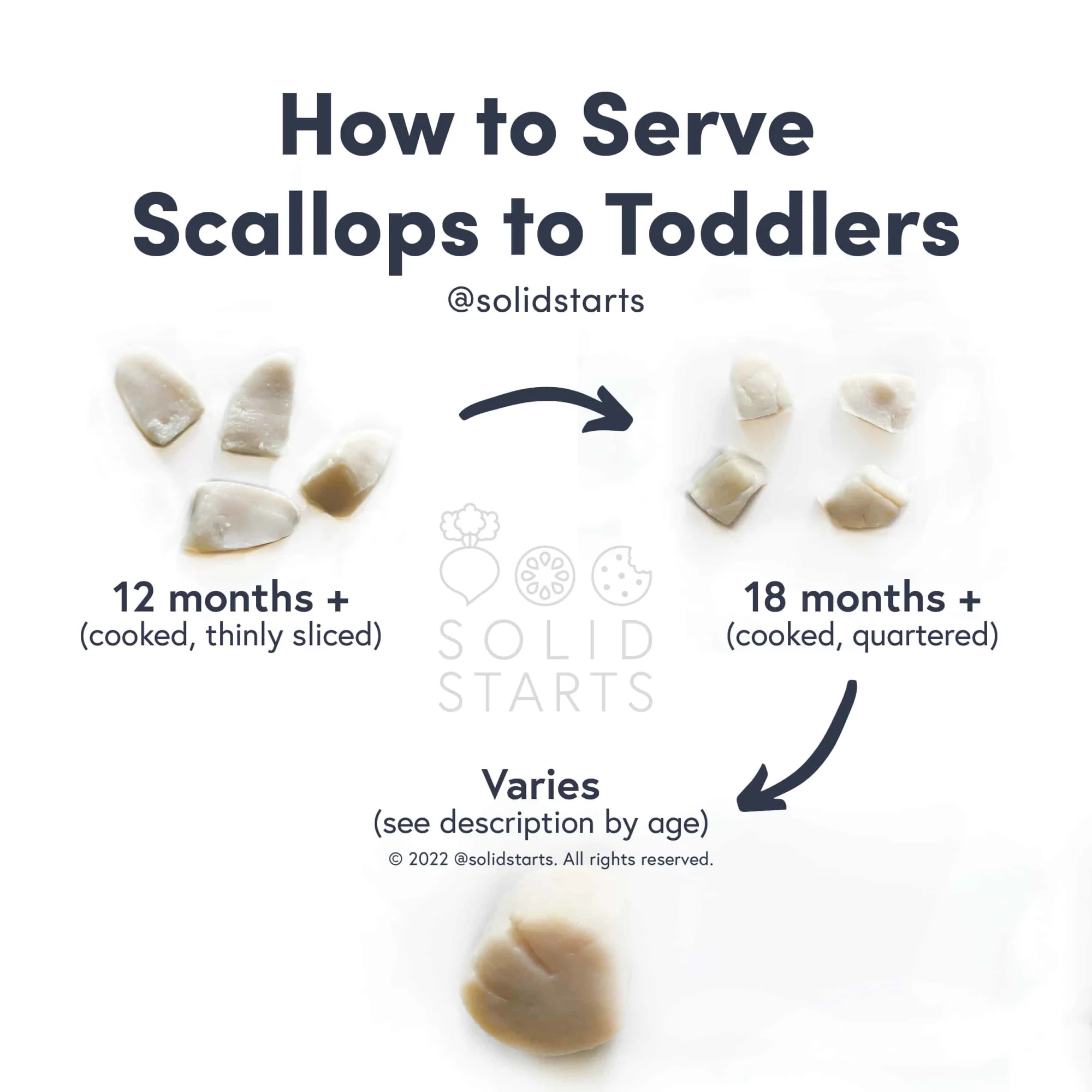 A Solid Starts infographic with the header How to Serve Scallops to Toddlers: thin cooked slices for 12 months+, cooked bite-size pieces for 18 mos+, and varies for whole cooked scallops
