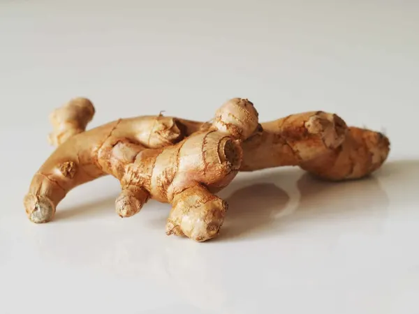 a whole, raw ginger root on a white background to be prepared for babies starting solids