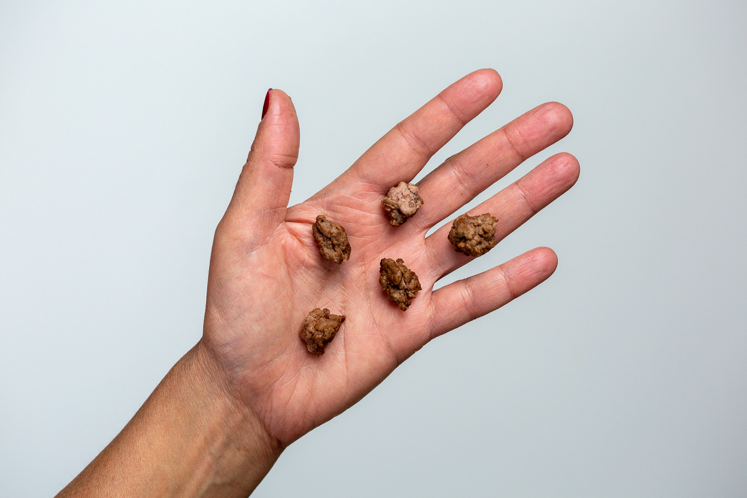 a hand holding five bite-sized crumbles of ground beef in the palm
