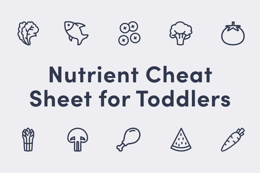 Toddler Nutrition Sheet