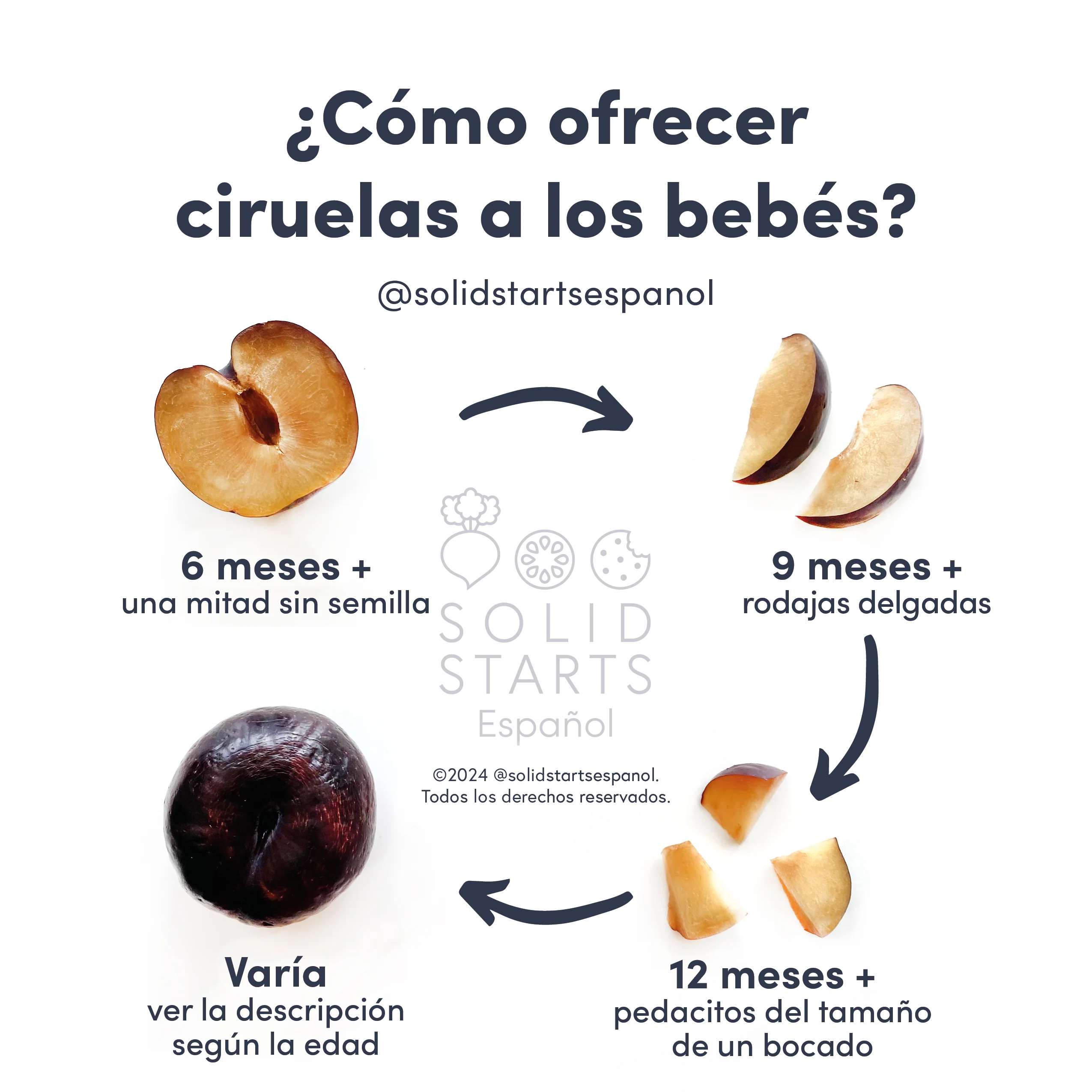 a Solid Starts infographic with the header How to Cut Plums for Babies: a halved plum (if ripe and very soft) with pit removed for babies 6 months+, thin slices of plum for 9 months+, bite size pieces for 12 months+, and Varies for whole plum
