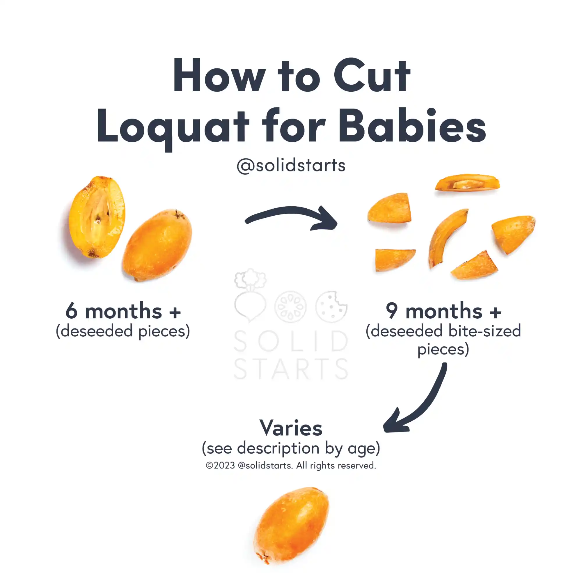 a Solid Starts infographic with the header How to Cut Loquat for Babies: deseeded halves for 6 mos+, bite-sized pieces for 9 mos+, varies by age for whole fruit