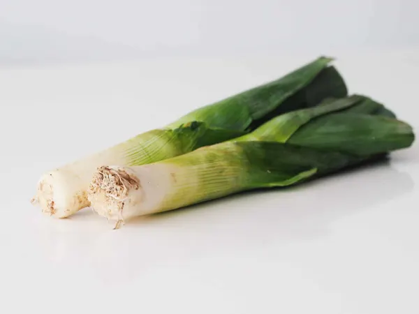 two leeks before being prepared for babies starting solid food